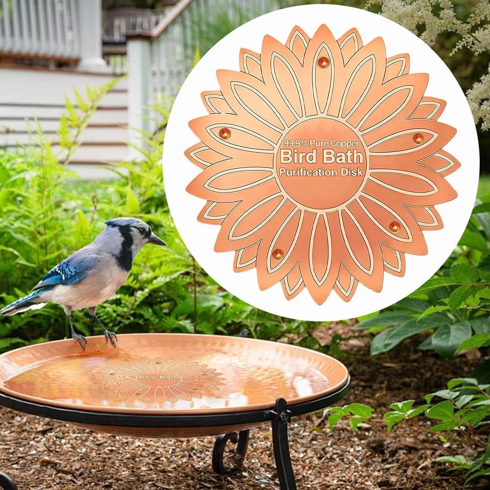 Disque cuivre bain oiseaux fleurs prévention algues jardin
