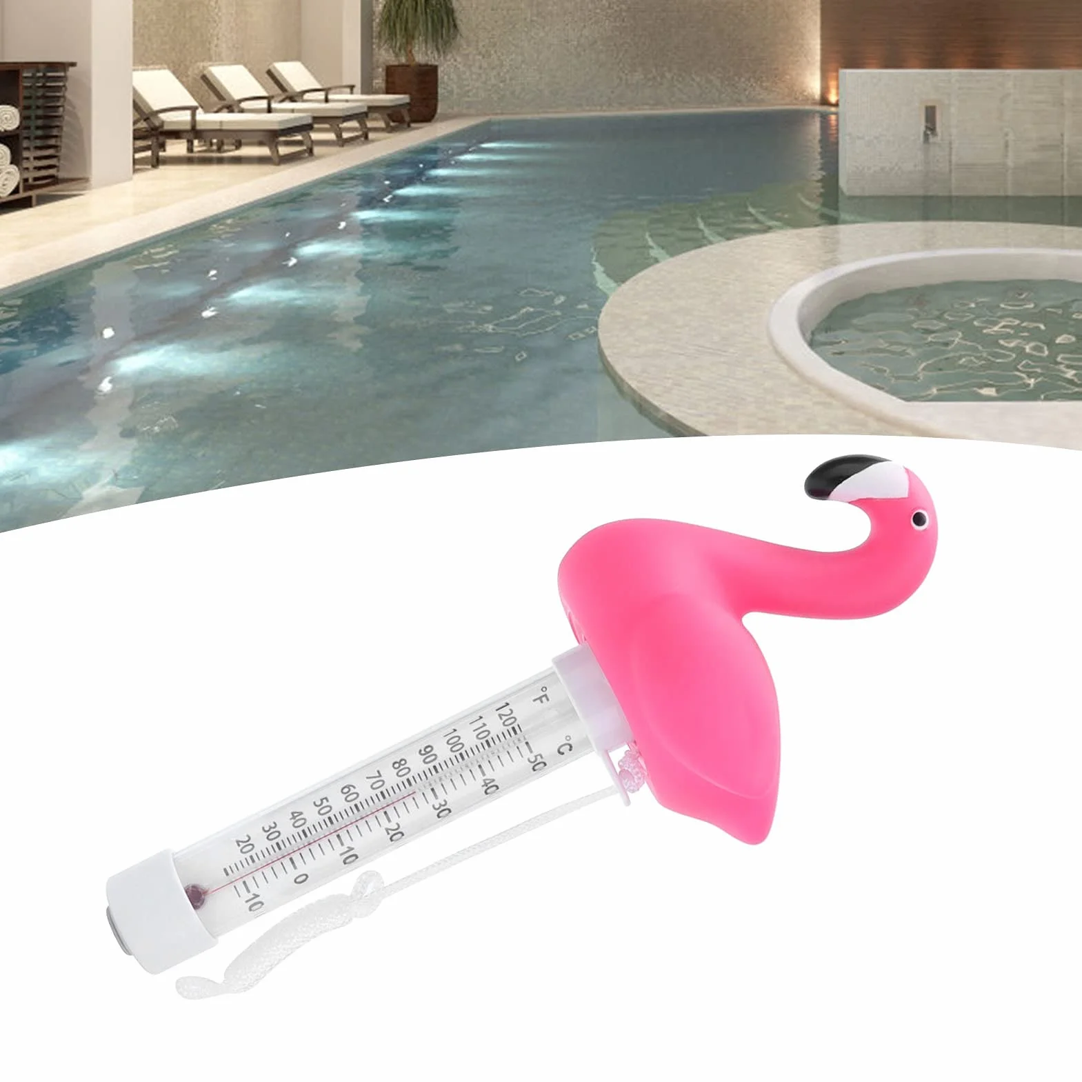 Thermomètre De Piscine Flottant, Flamant Rose, Intérieur Extérieur, Pour Piscine SPA