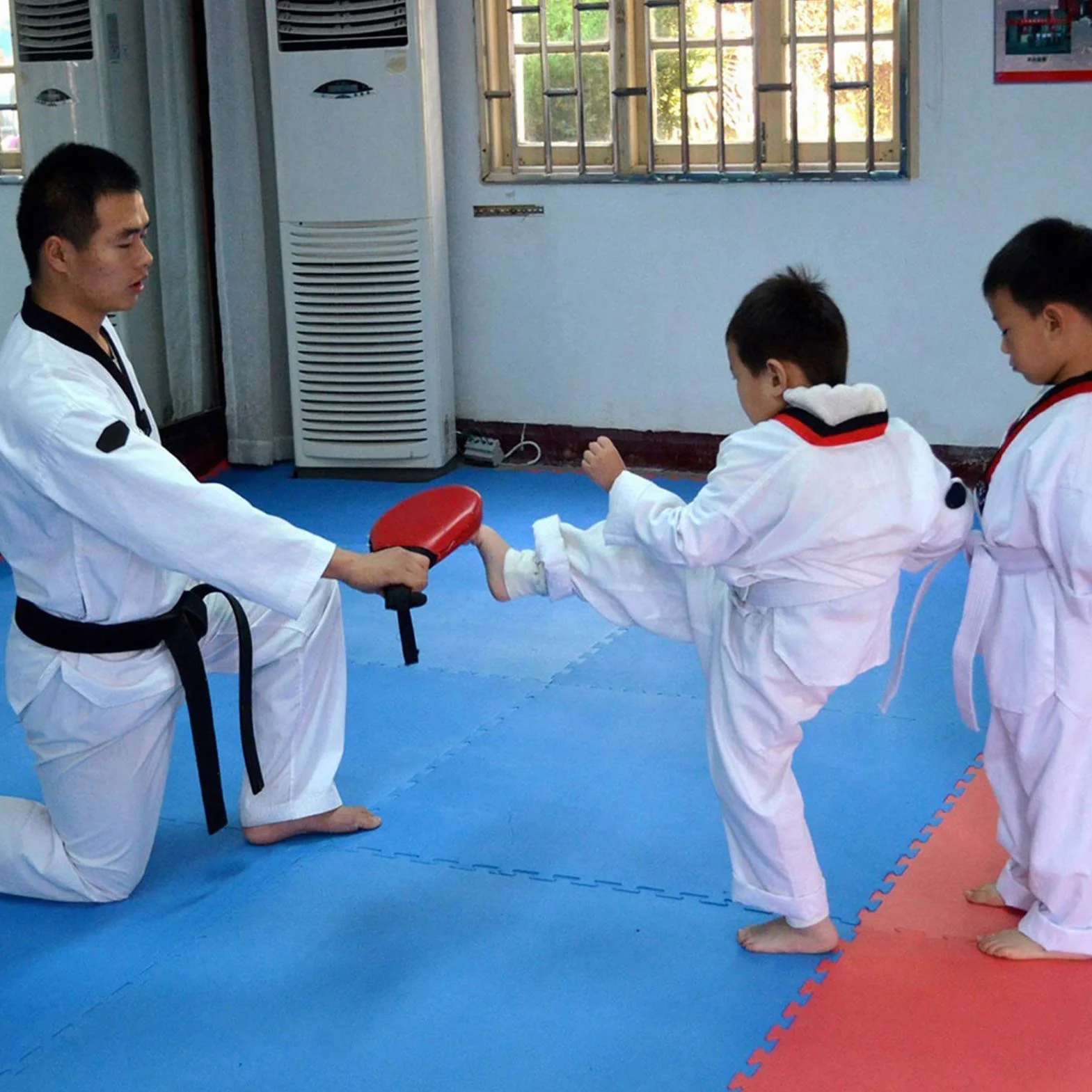 Lot de 2 Coussins d'entraînement pour Taekwondo, 19 cmx34,5cm Coussins de Boxe pour Cible de Frappe de Kickboxing équipement d'entraînement à Double Frappe Souple pour Les Arts Martiaux