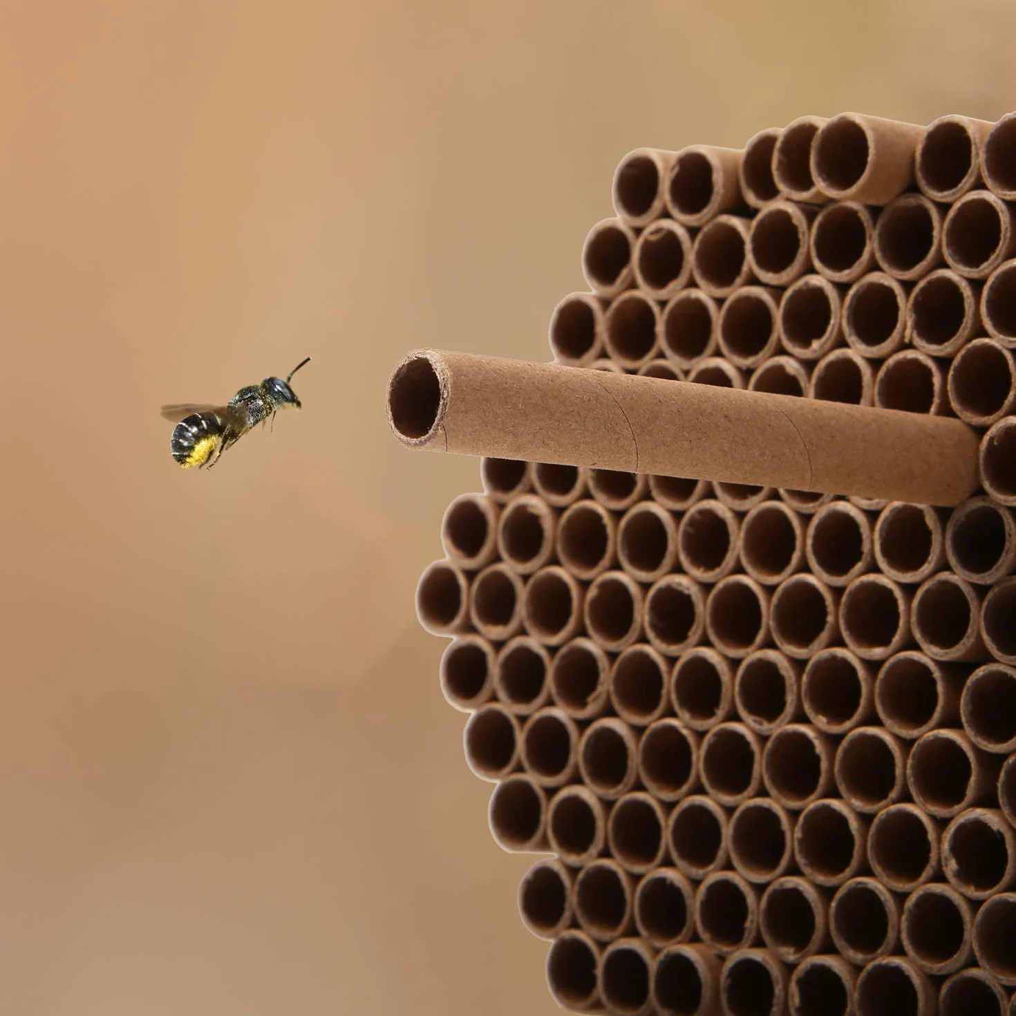Lot de 200 tubes en carton de remplissage pour hôtel à insectes sauvages