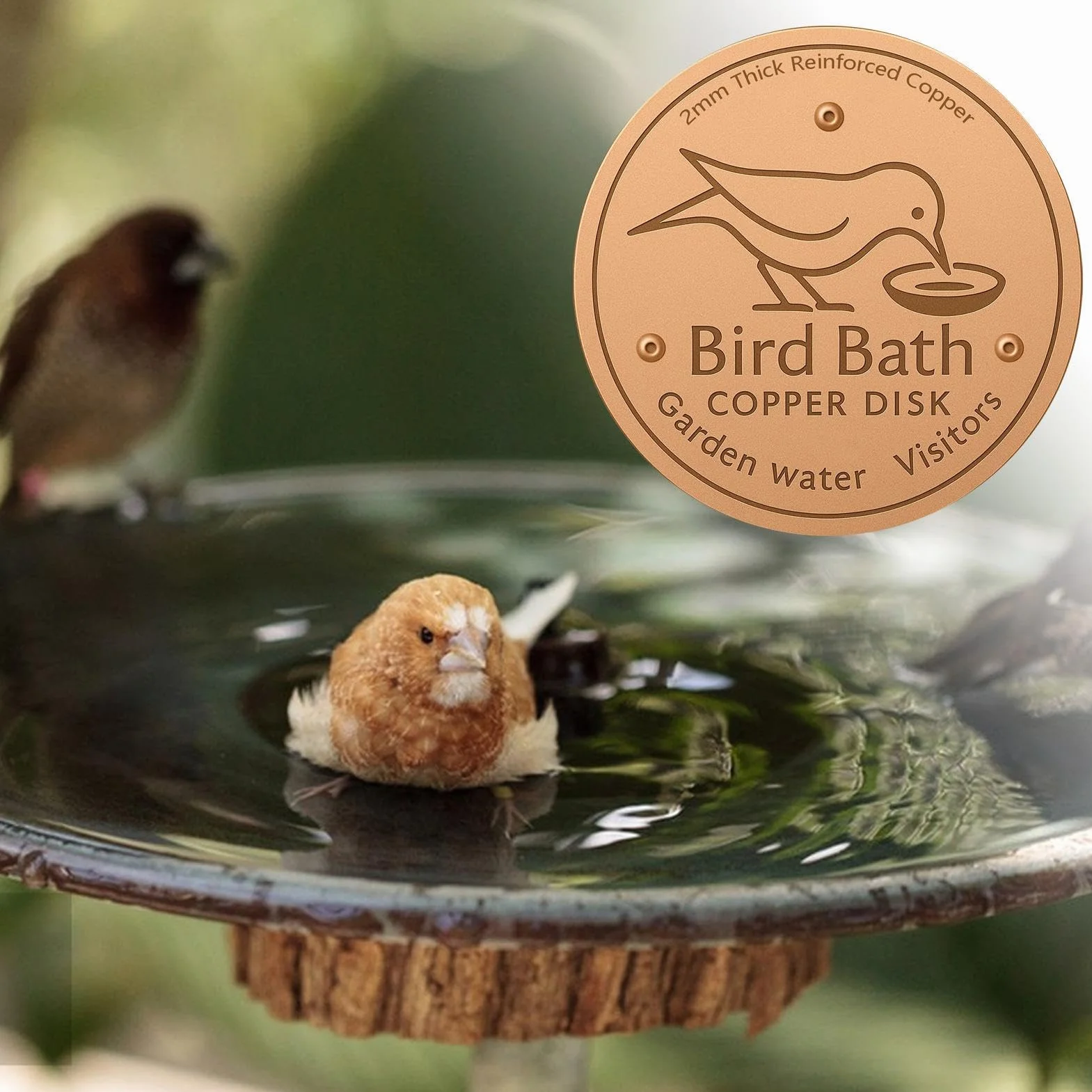 Disque en Cuivre Abreuvoir 10x10cm Purification Bain d'oiseaux avec Support Triple Point