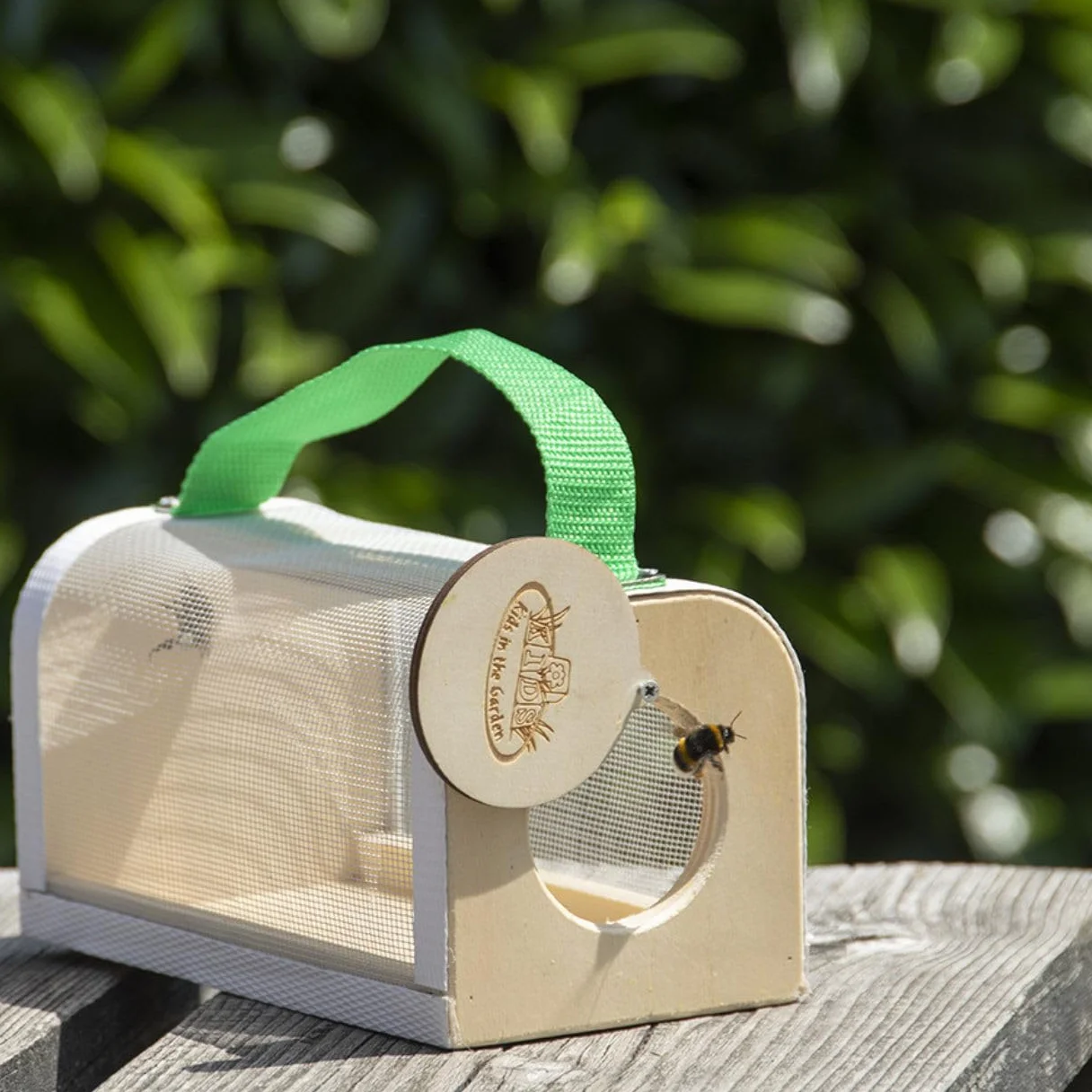 Esschert Design Boîte d'observation des Insectes Bois KG229