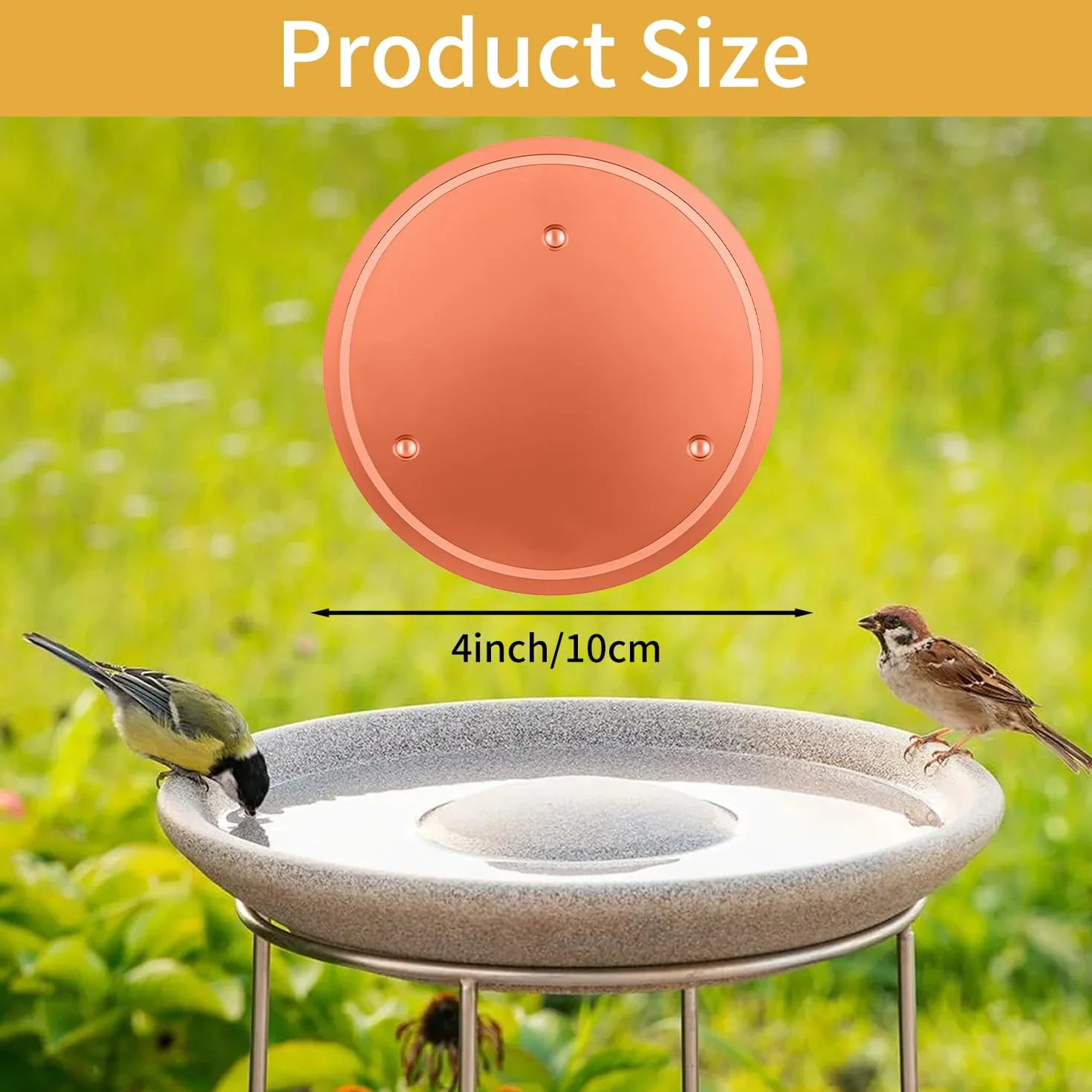 Disque en cuivre pur 99,99% pour purifier l'eau des bains d'oiseaux, bassins et fontaines extérieurs
