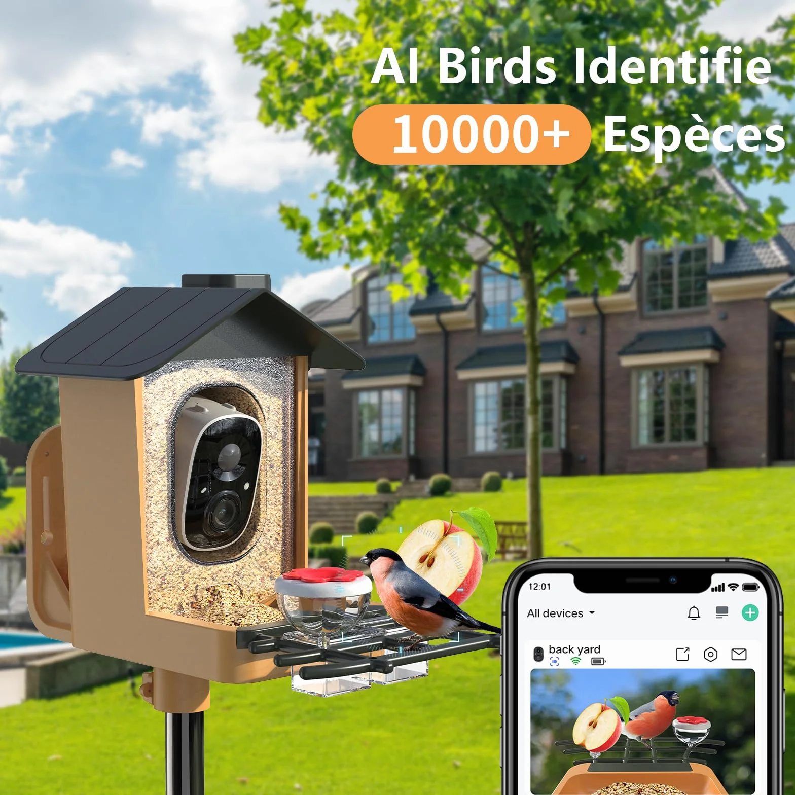 Mangeoire à Oiseaux avec Caméra AI Identification Oiseaux Vision Nocturne HD 2K IP65 Etanche Panneau Solaire