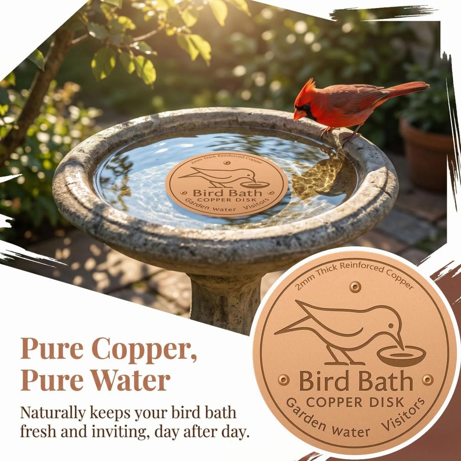 Disque de Purification de Cuivre pour Bain d'Oiseaux, Auto-nettoyant, Garde l'Eau Fraîche (1PC)