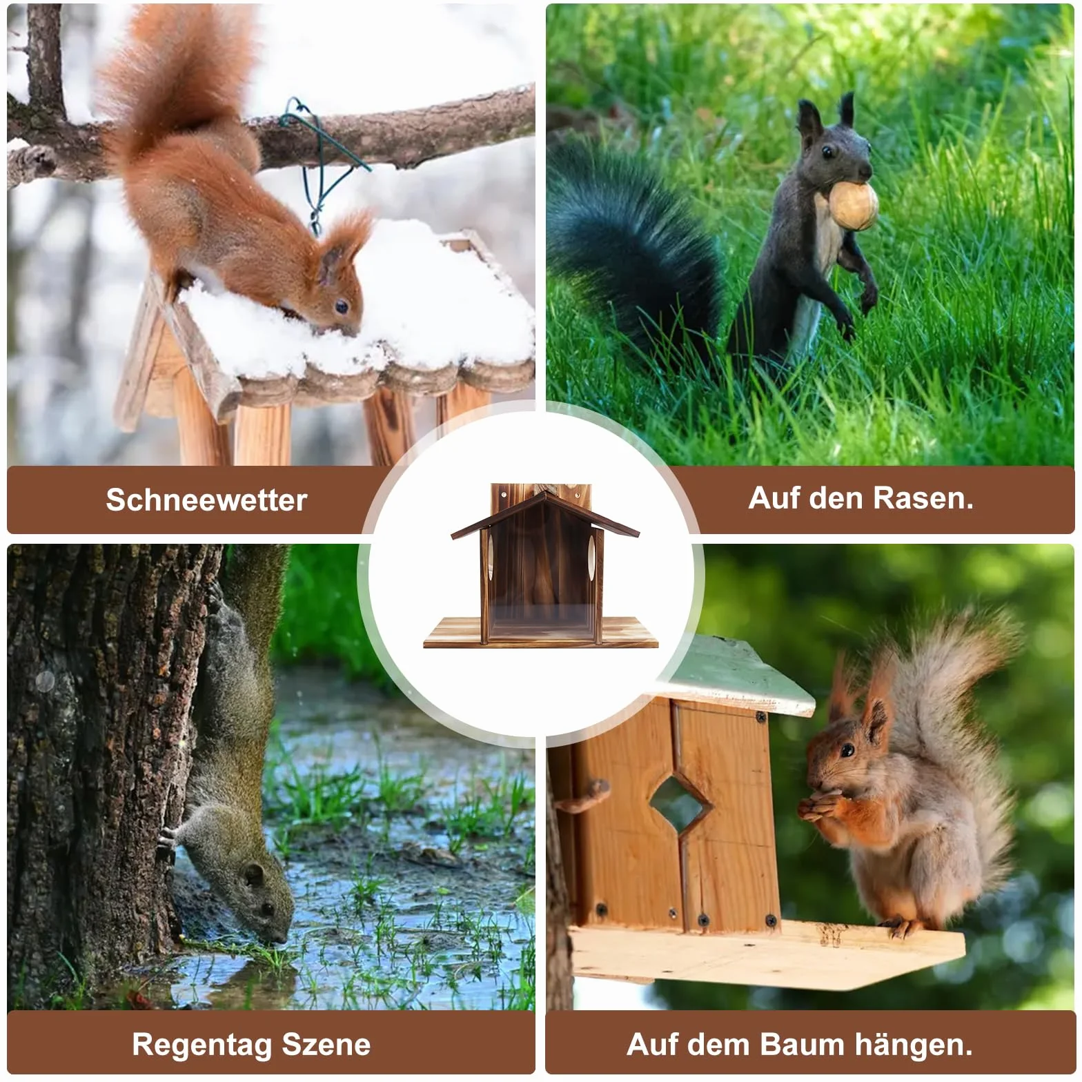 Mangeoire pour écureuils en bois résistant aux intempéries avec revêtement d'huile de lin