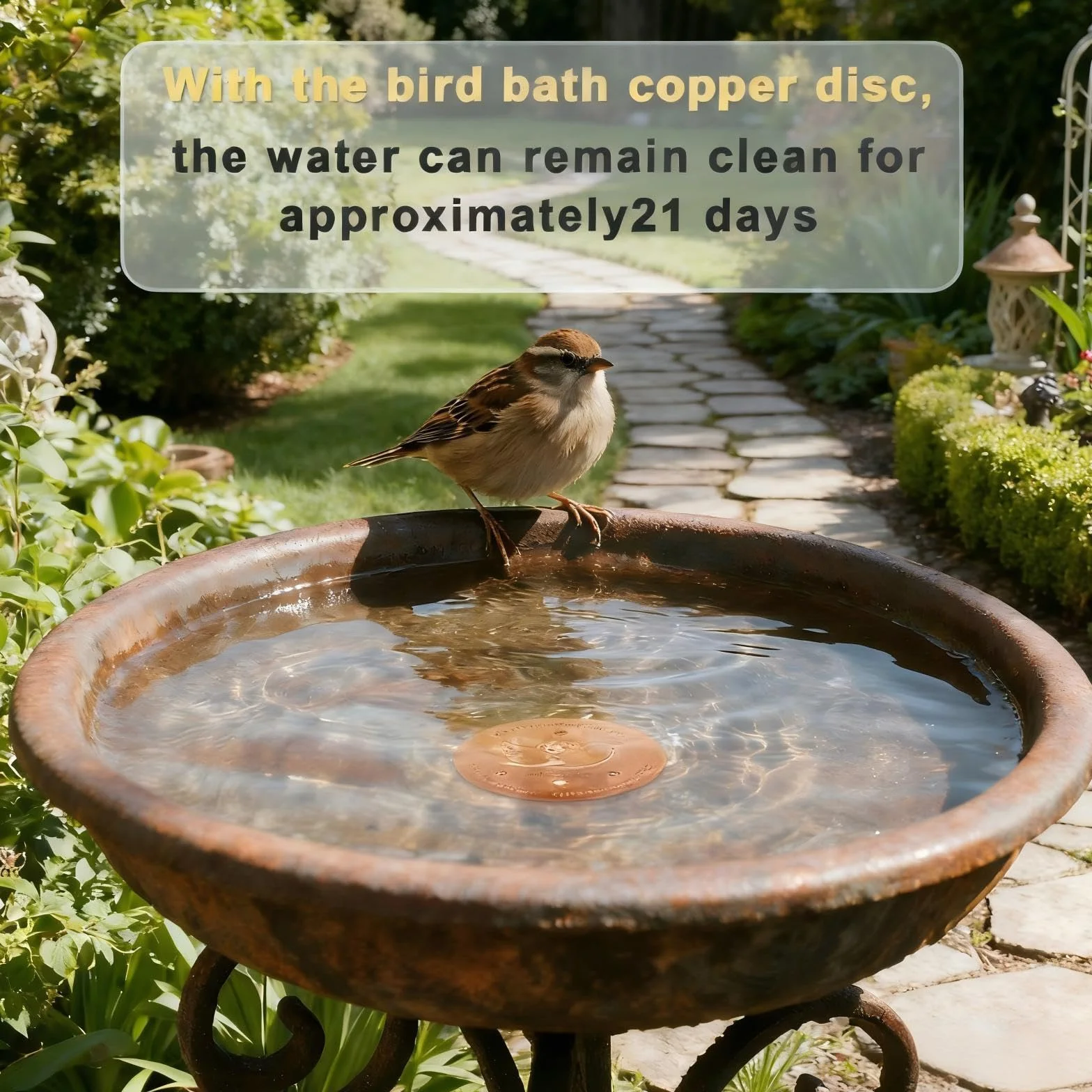 Kimimara Disque de nettoyage pour bain d'oiseaux en cuivre