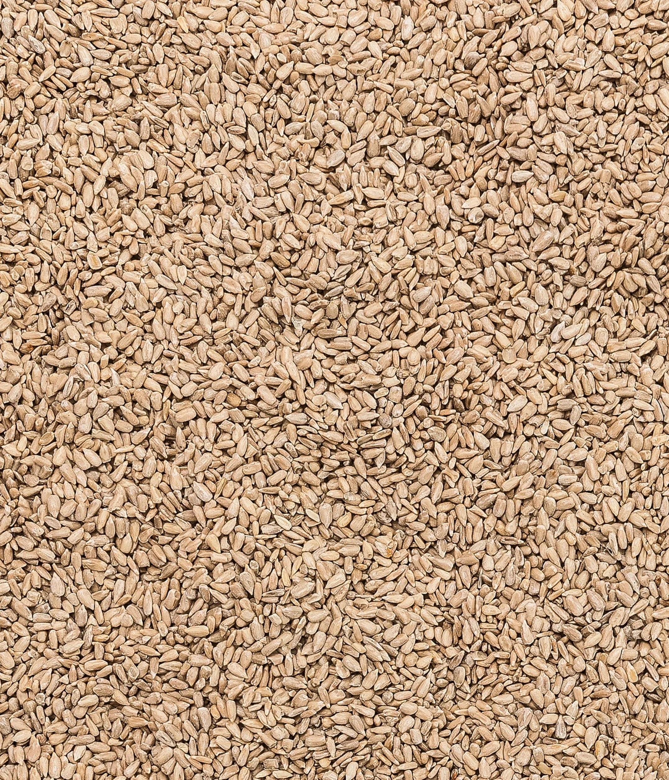 Dehner Natura Premium Nourriture pour Oiseaux Sauvages Graines de Tournesol Décortiquées 1 kg