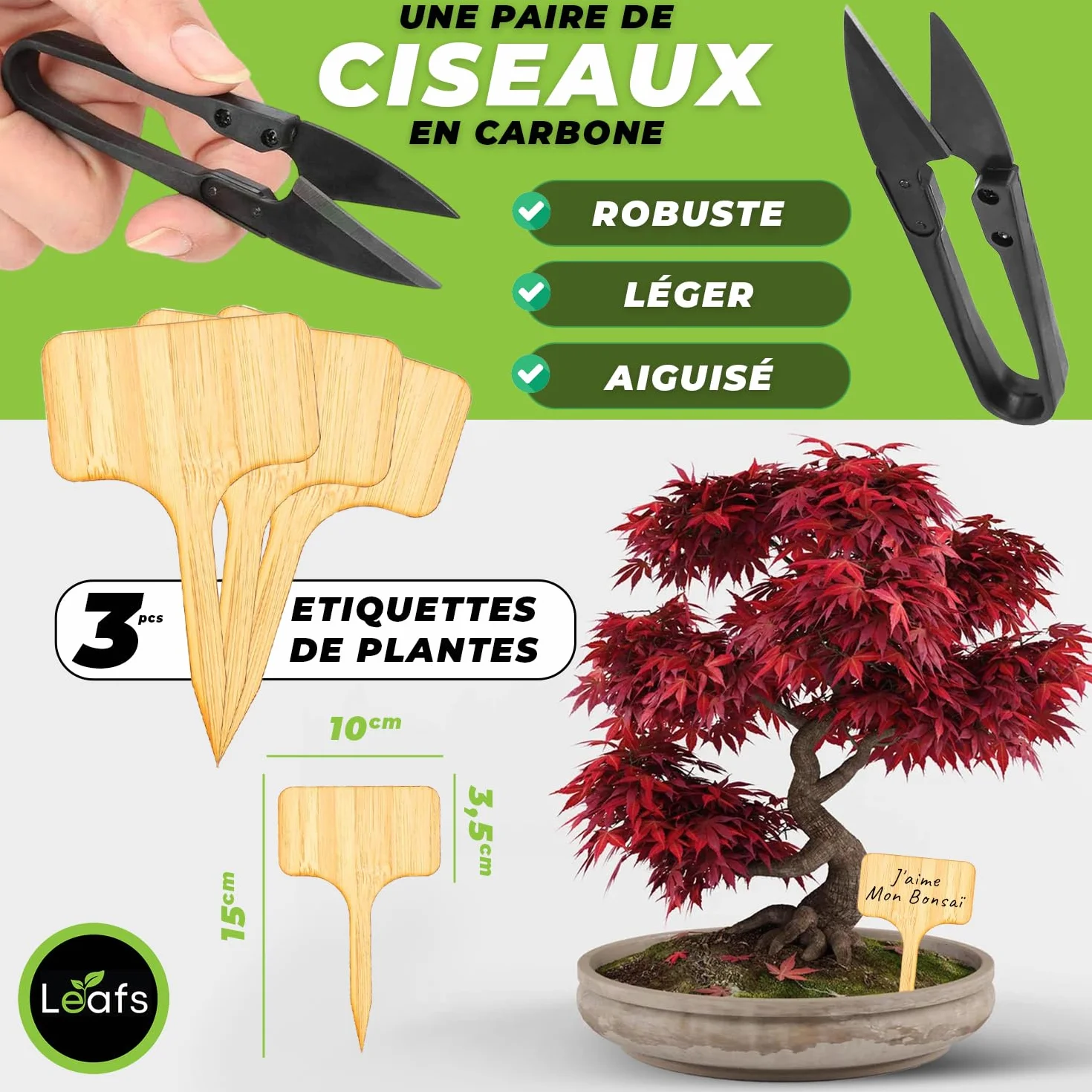 Kit De Plantation Pour Bonsais - Cadeau Anniversaire, Kit Jardinage Enfant - Cultivez Votre Propre Plante Bonsai