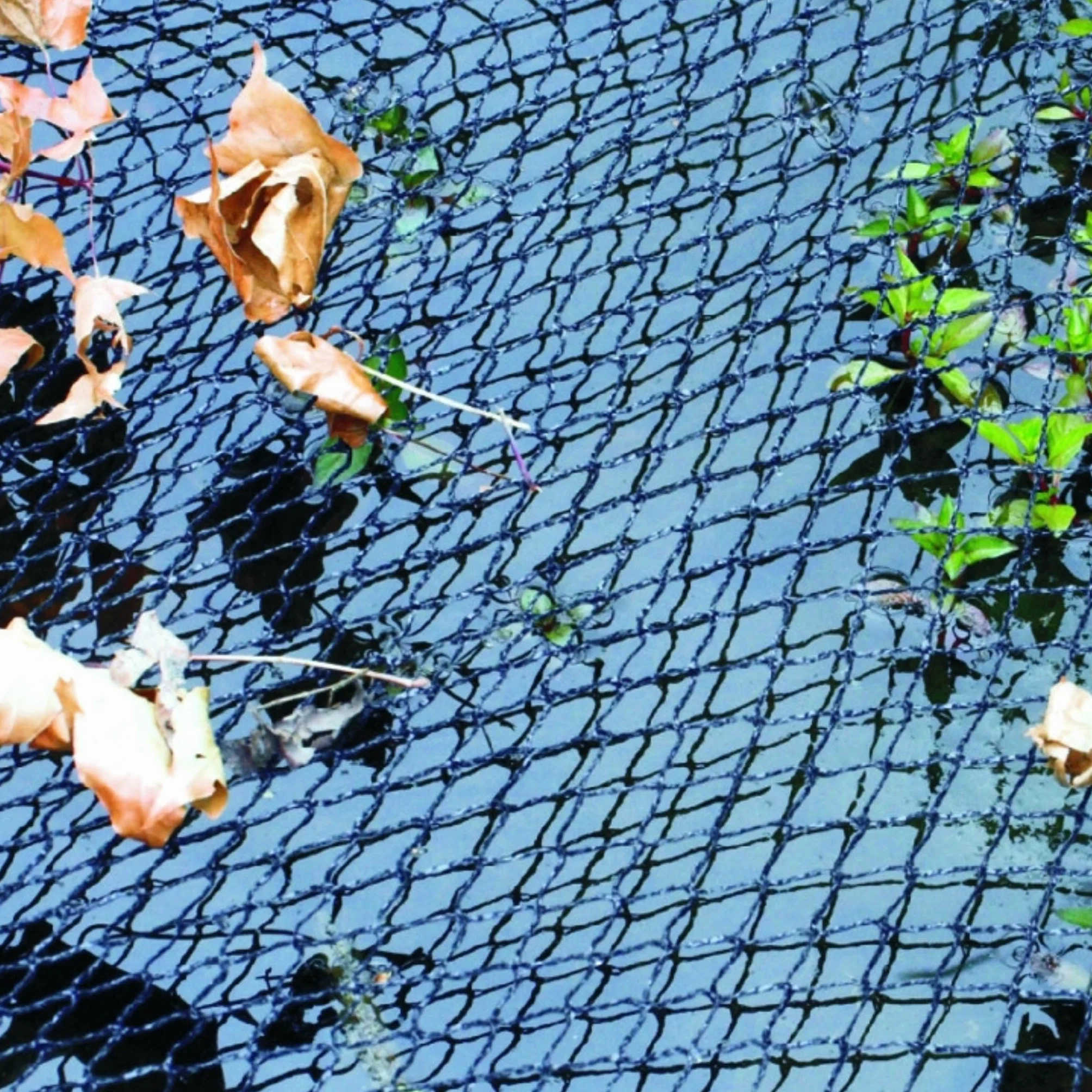 Filet de protection pour bassin d'agrément Cover Net 2 x 3 m