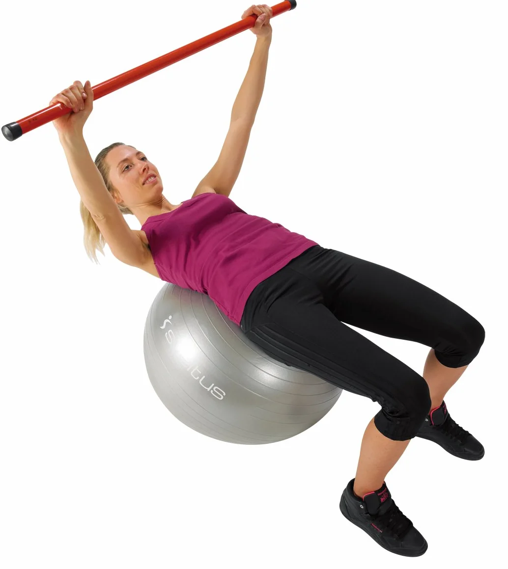 Sveltus Gymball