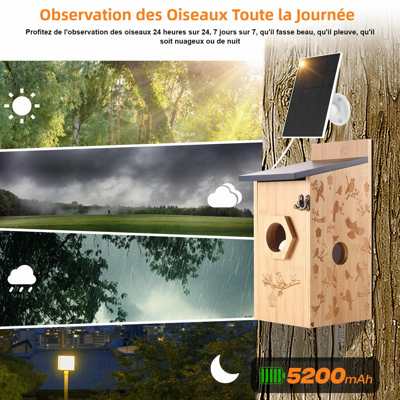 Nichoir Mésange avec Caméra 5MP Solaire WiFi 2,4G, Détection de Mouvement, Vision Nocturne