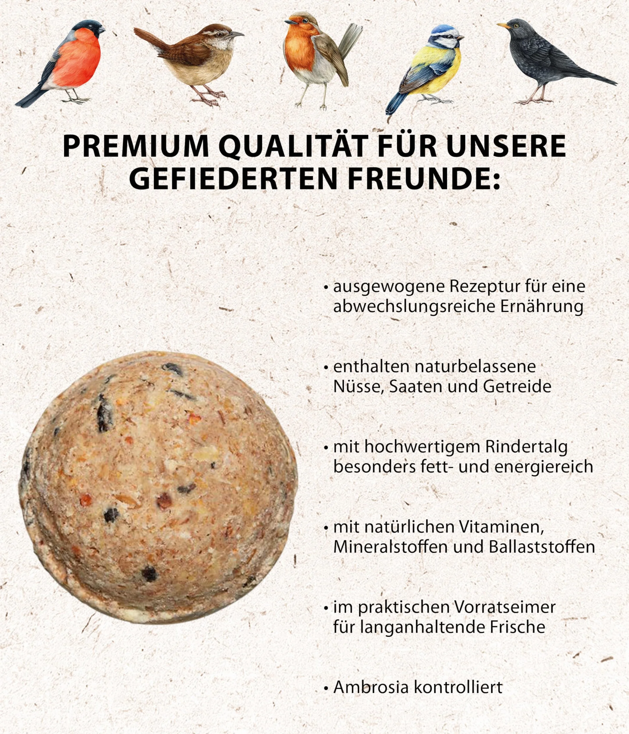 Dehner Natura Nourriture pour Oiseaux Sauvages Boules de Graisse sans Filet 30 pièces 90 g 2,7 kg