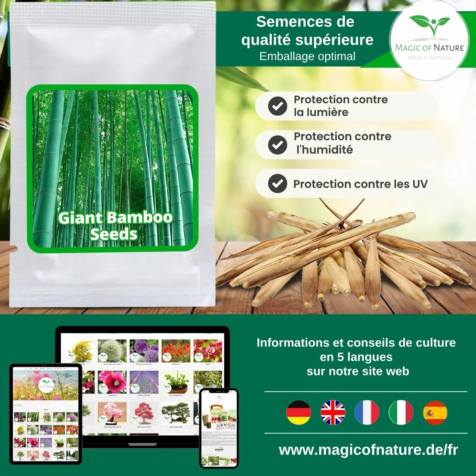 Magic of Nature Graines de Bambou Géant 60 pcs – Brise-vue Protection Vent Jardin