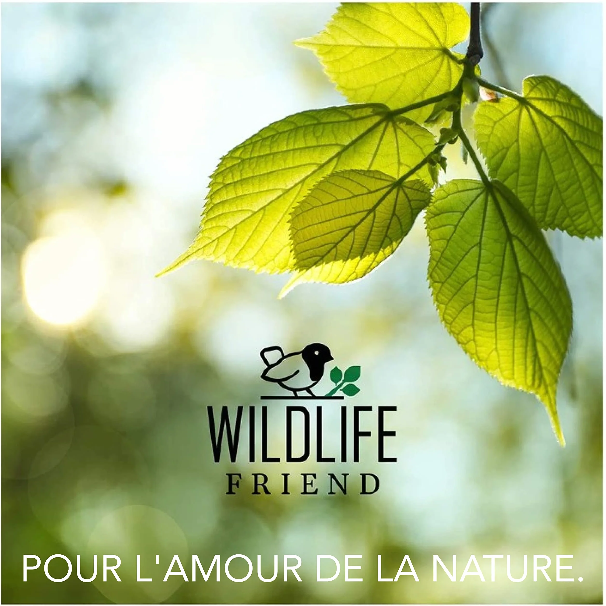 Mangeoire Ecureuil Exterieur avec Toit en Métal - Station d'Alimentation pour Nourrir Les Ecureuils