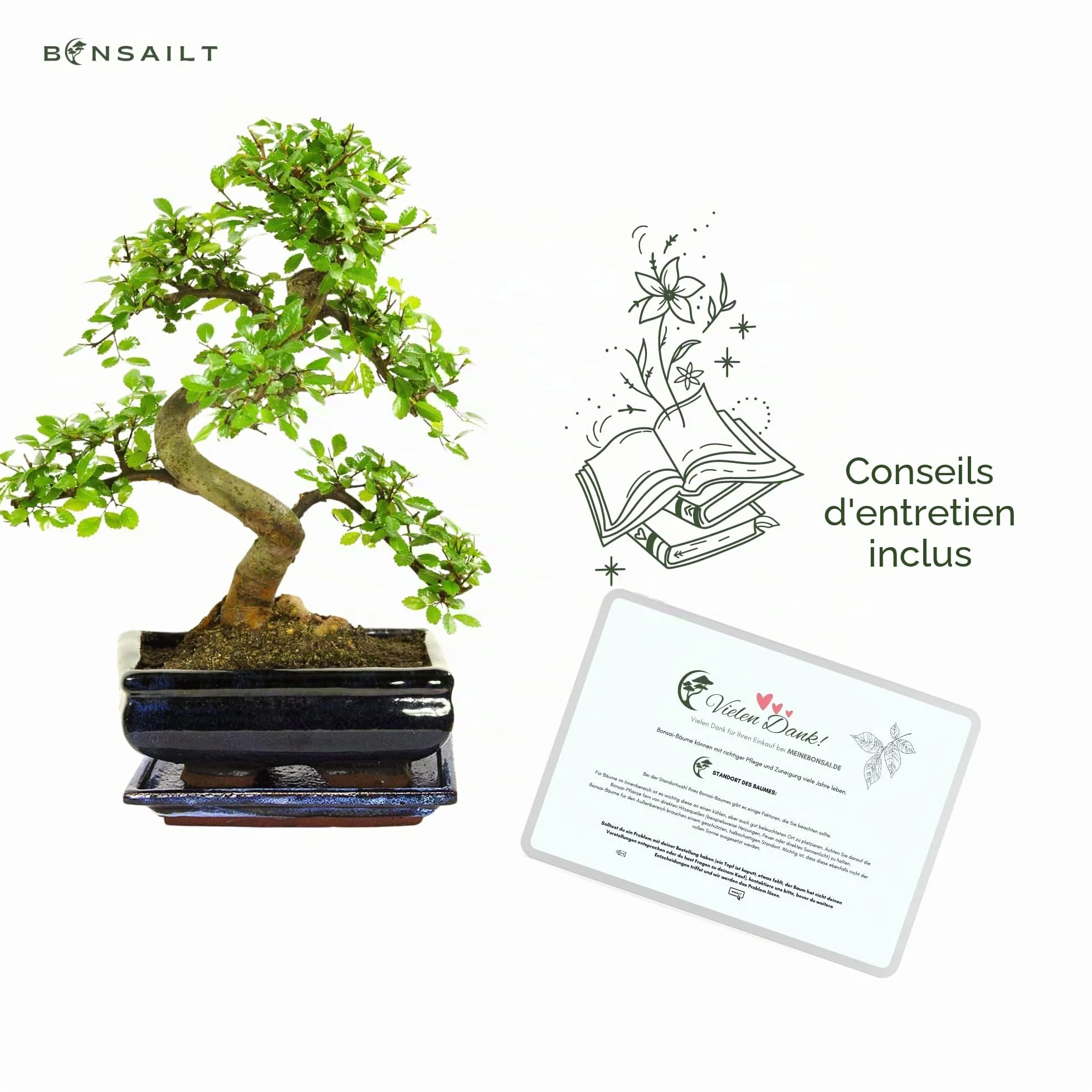 Bonsaï pot céramique Ligustrum Ficus Carmona Podocarpus Orme chinois 6-9 ans