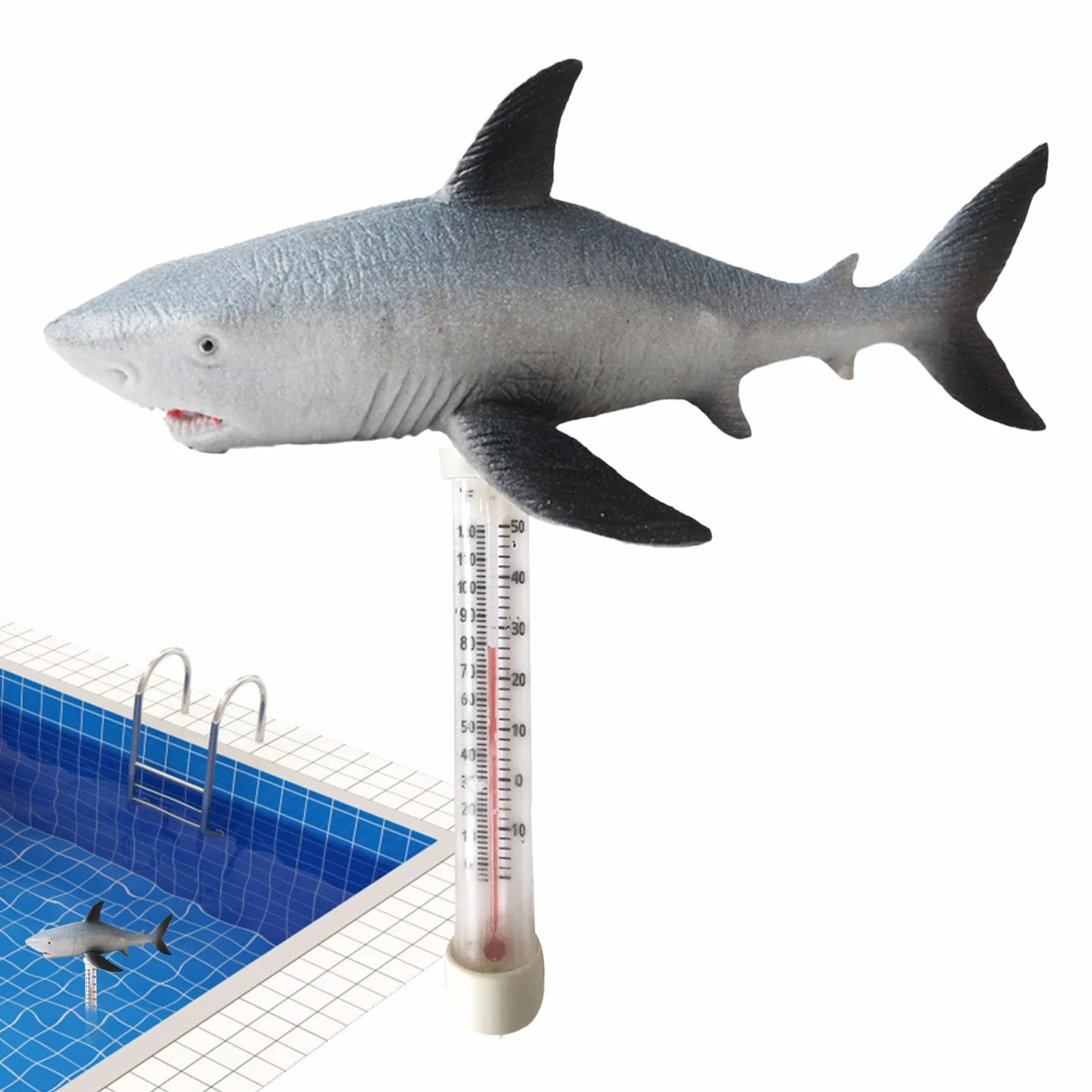 Thermomètre Flottant pour Piscine avec Cordon Intérieur Extérieur