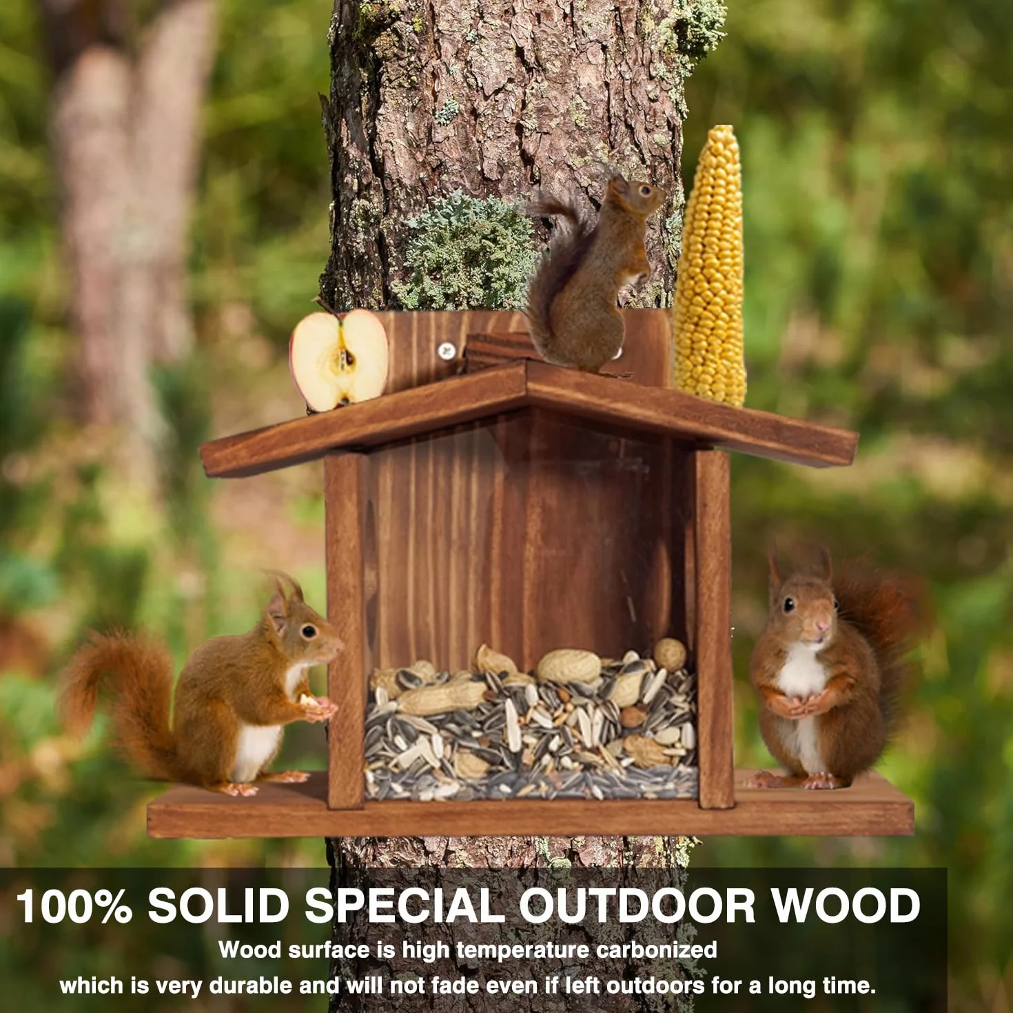 Mangeoire en bois pour écureuils imperméable design durable jardin extérieur