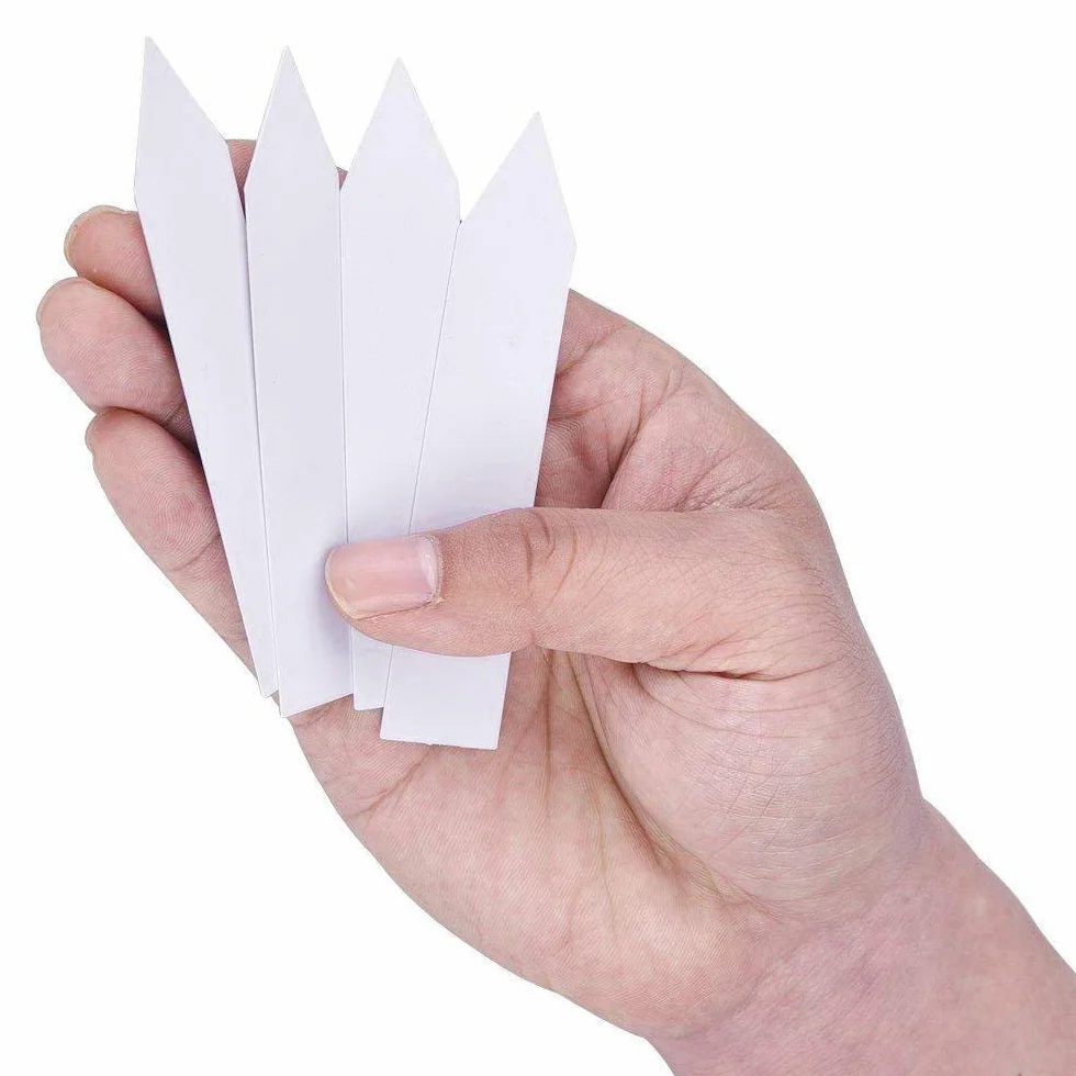 KINGLAKE étiquette en plastique pour plantes 100 pièces 10x2cm blanc