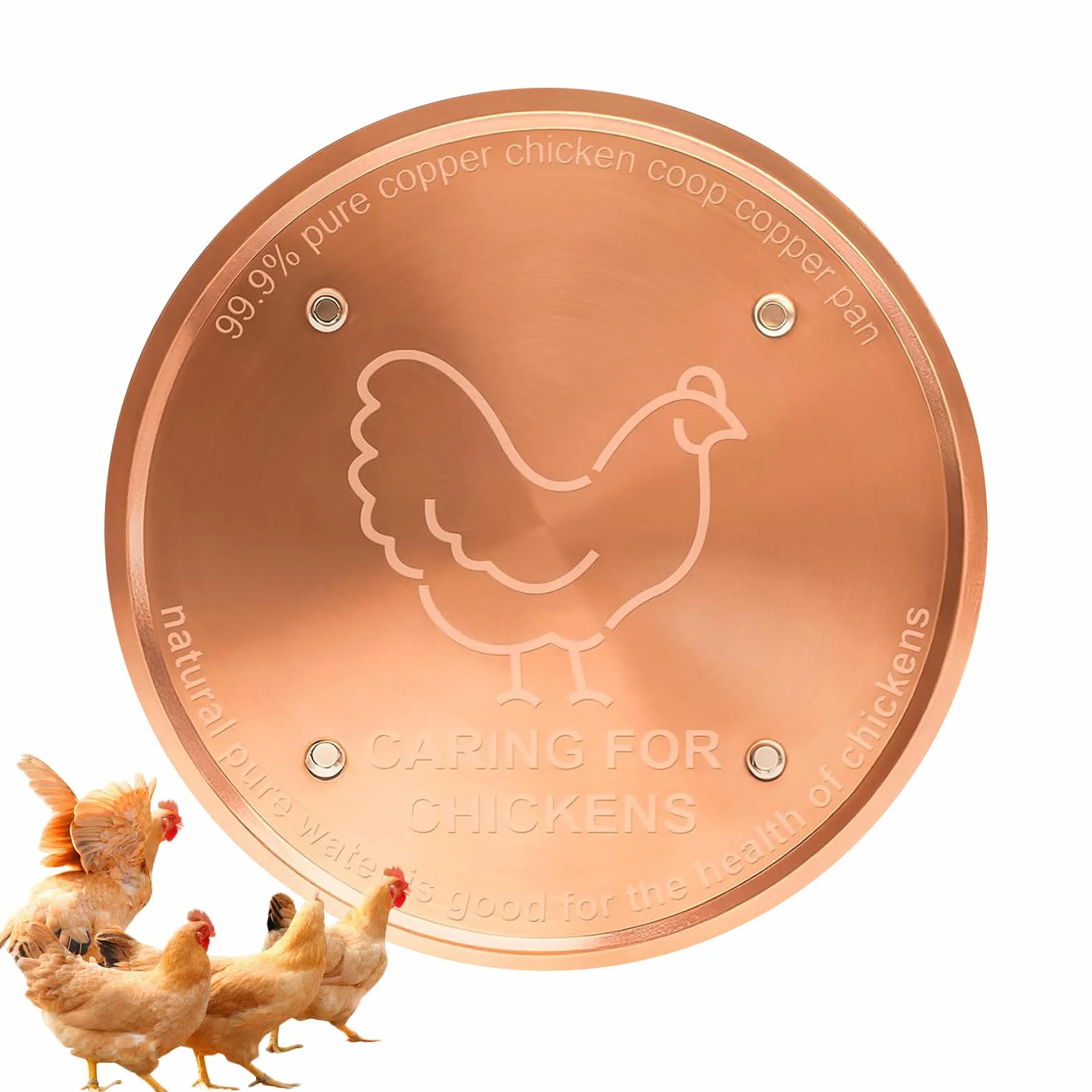 Disque de Bain d'oiseaux en Cuivre 10 cm Purification d'eau pour Bassin Extérieur Jardin