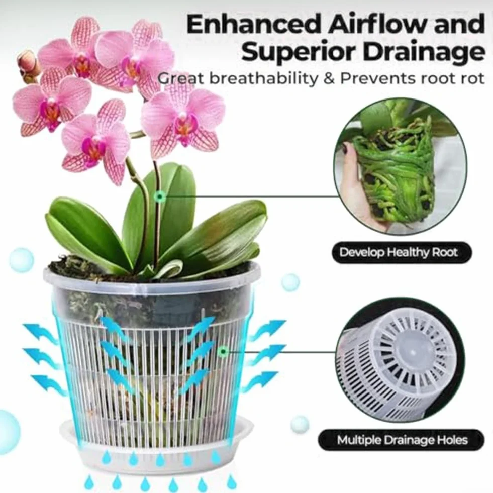 Pots transparents pour orchidées avec soucoupes 11 cm Lot de 6
