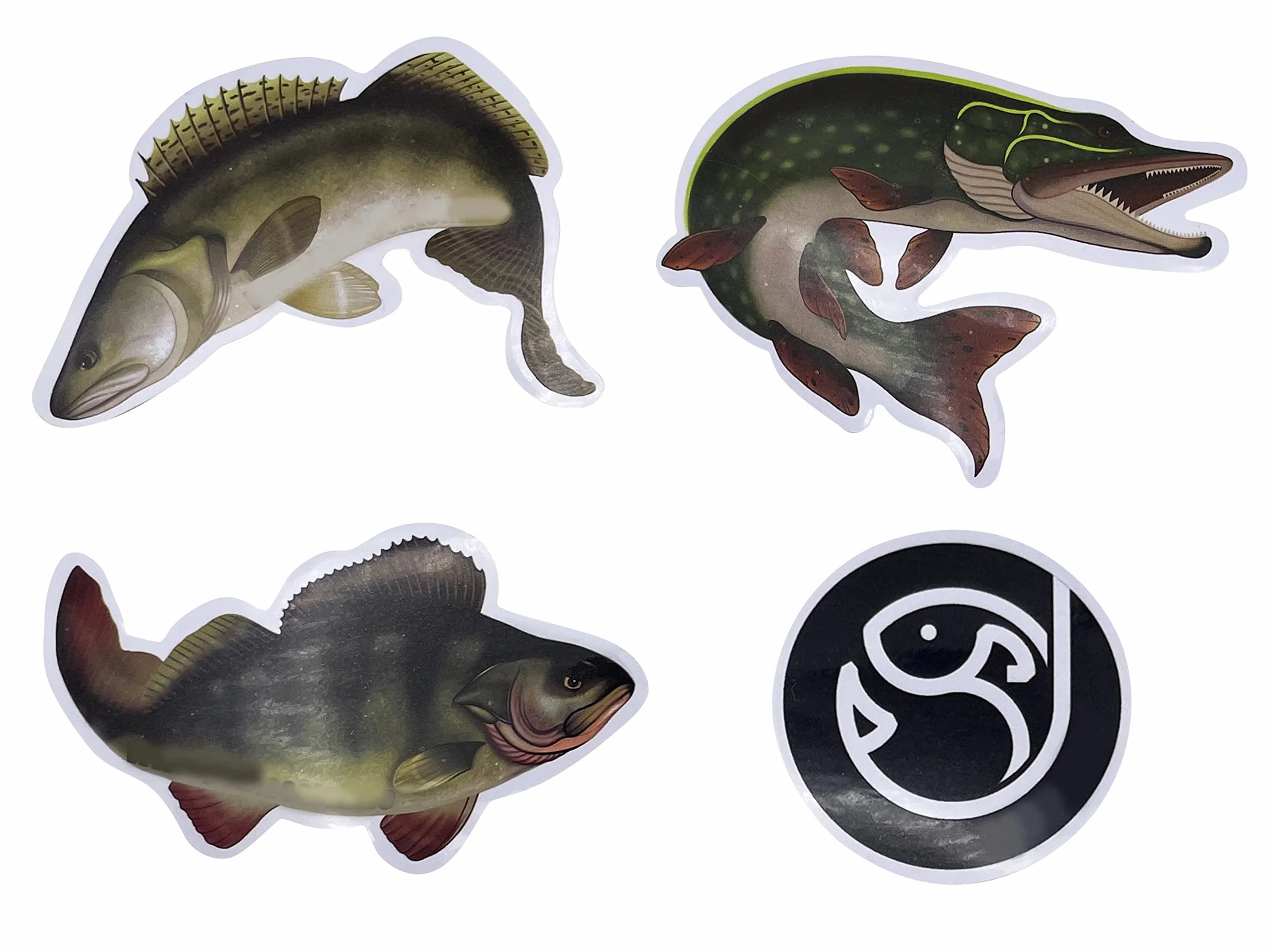PetrisCatch Lot de 5 bas de ligne en fluorocarbone avec mousqueton pour brochet, 25 cm/40 cm, 12 kg/20 kg