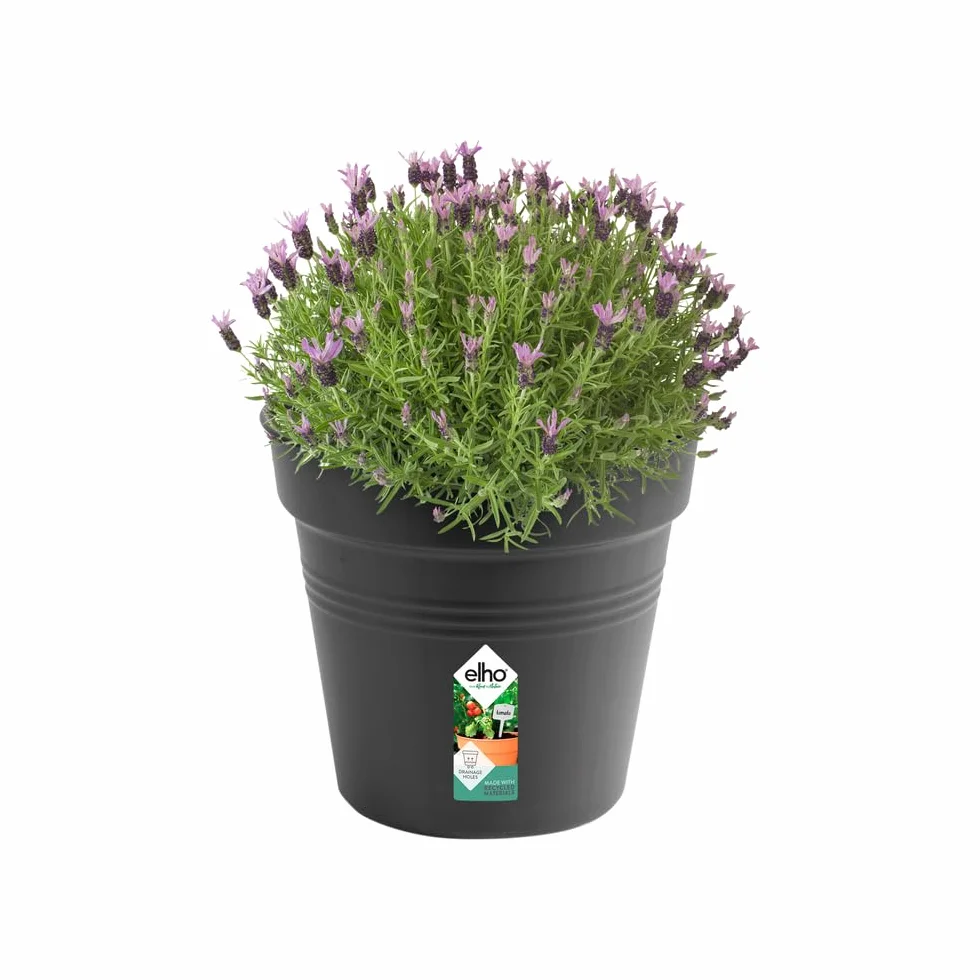 Elho Green Basics Pot De Culture 35 - Ø 35 x H 32.2 cm - Noir/Living Noir