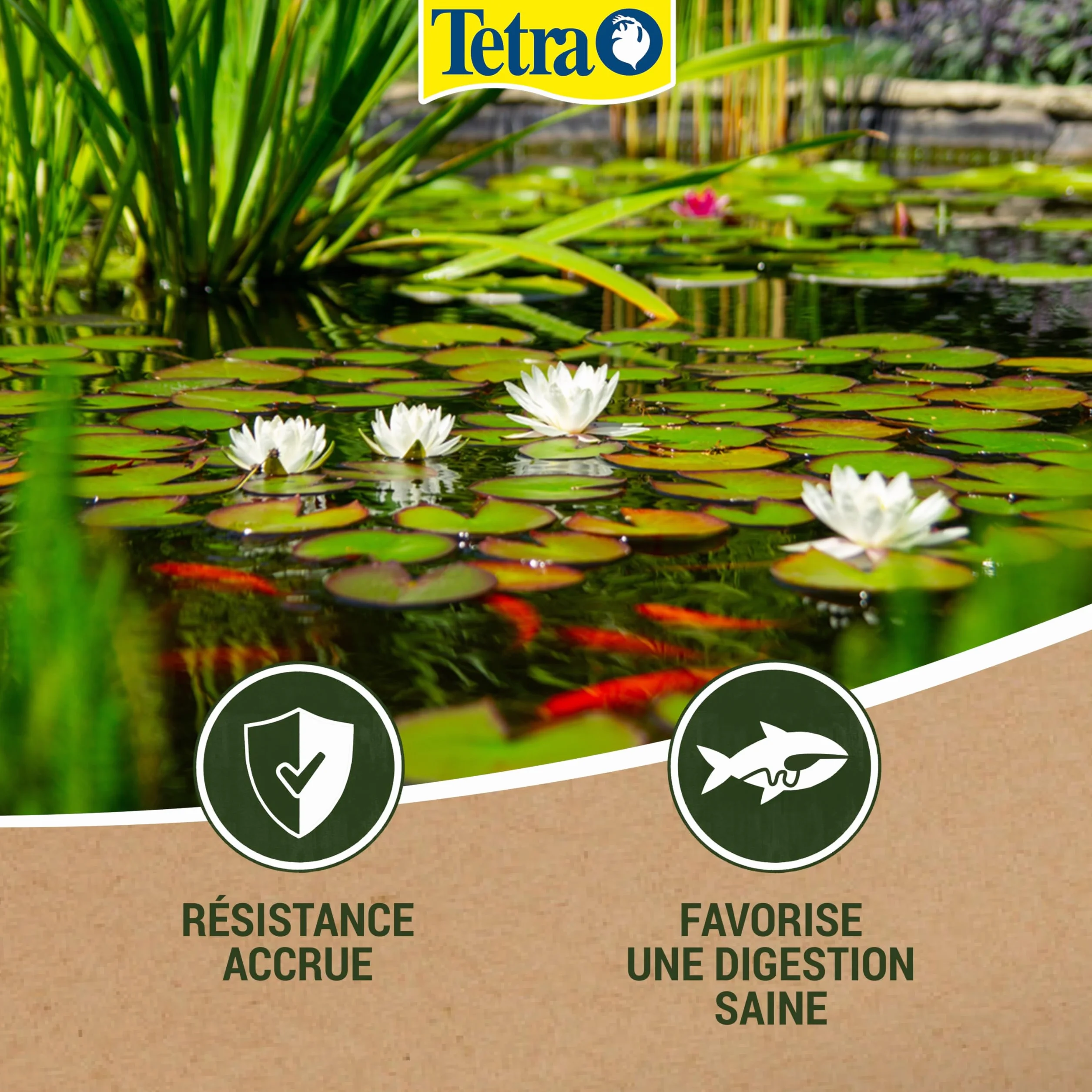 Tetra Pond Goldfish Mix – Aliment Complet pour Poissons Rouges de Bassin - Sticks, Flocons, Gammarus - 4 L