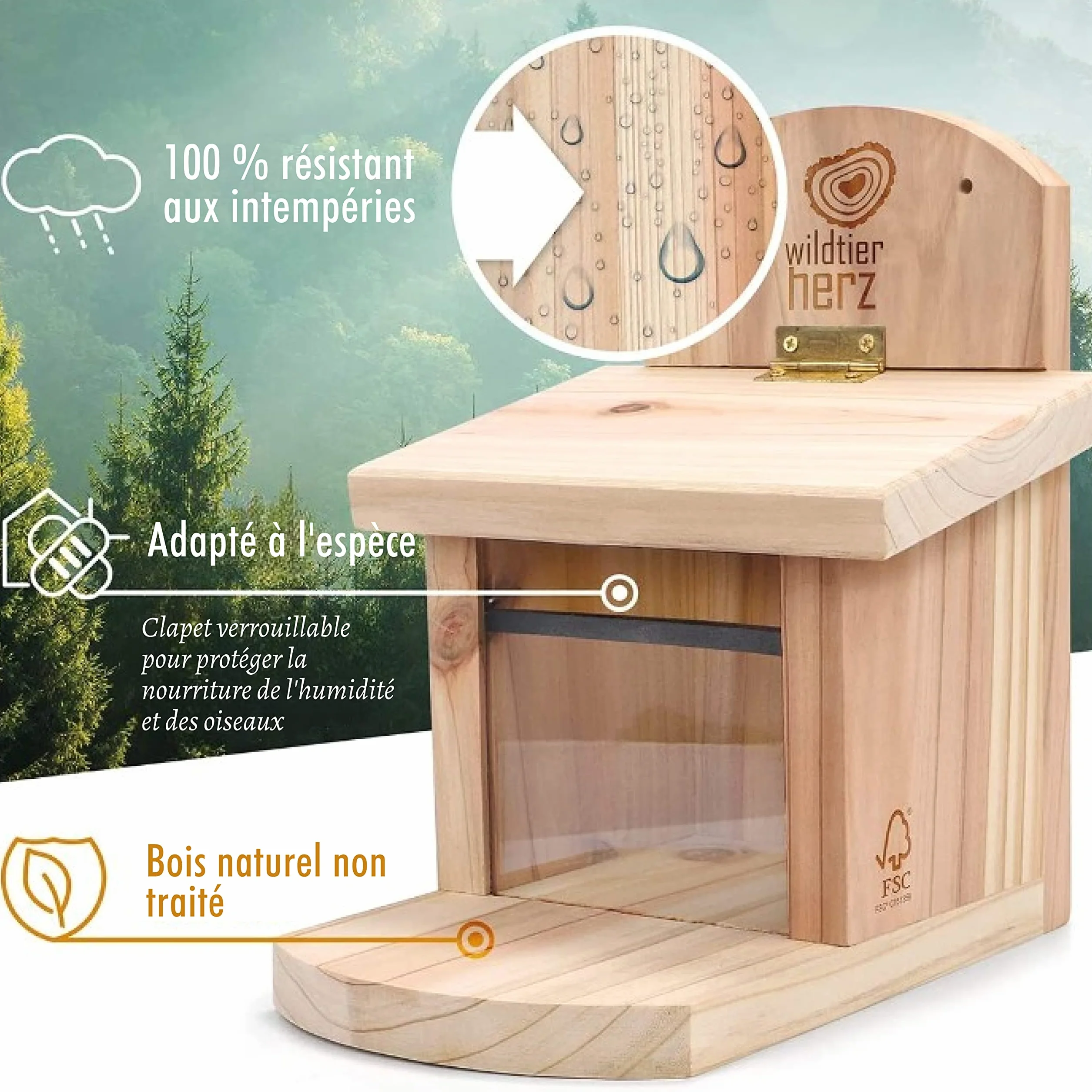 Mangeoire Écureuil en Bois Massif - Distributeur de Nourriture Animaux Imperméable