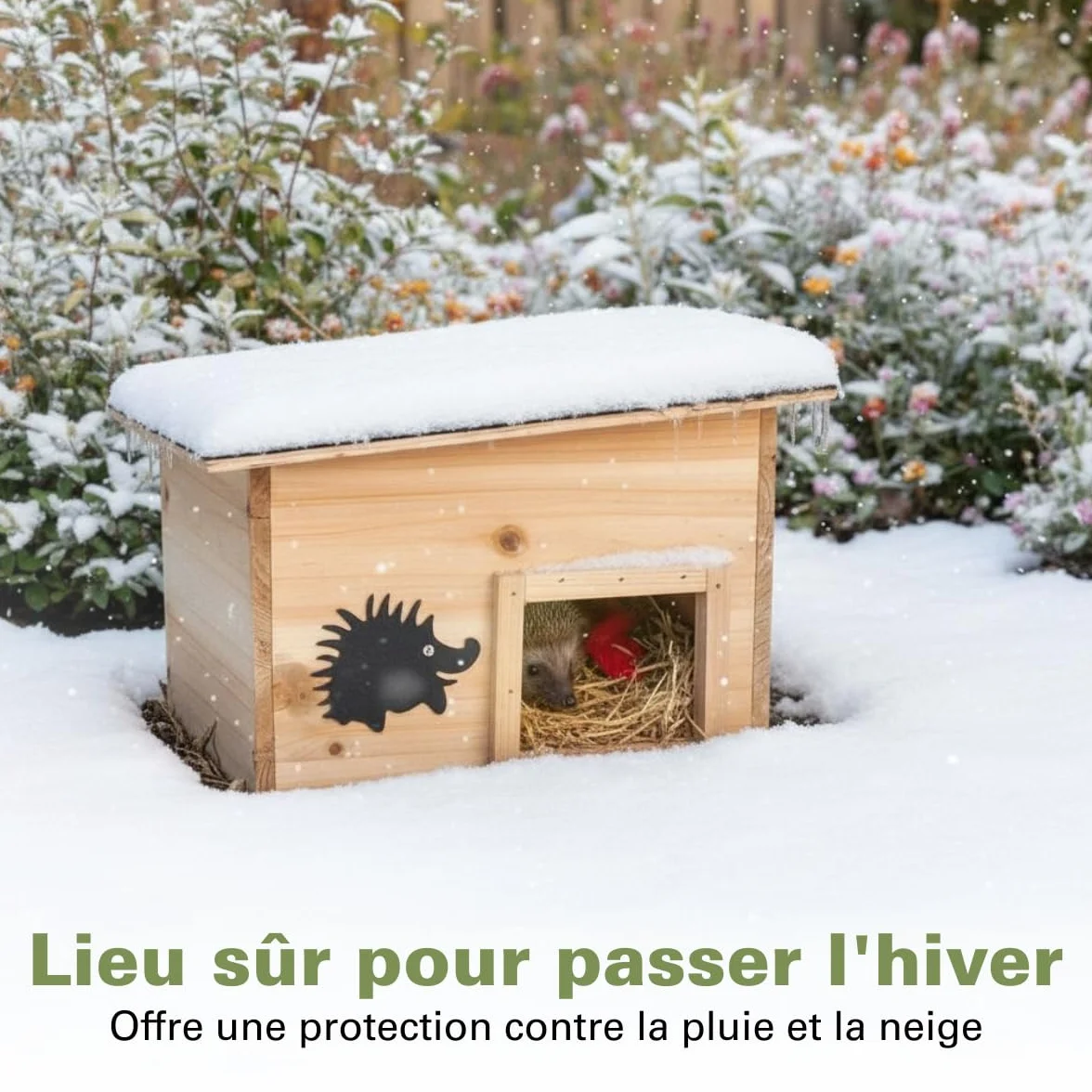Maison pour hérisson en Bois FSC 100% - Maison pour Cochon d'Inde