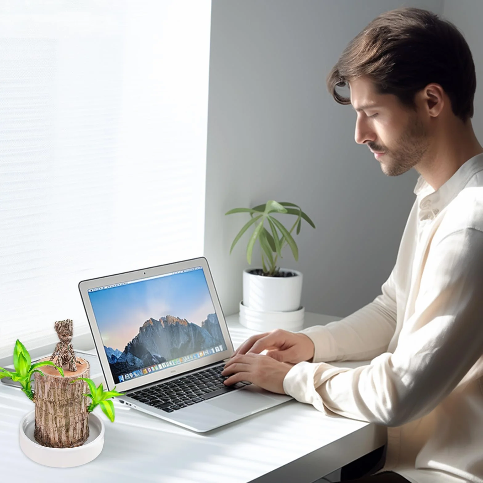 Bambou porte-bonheur brésilien Lot de plantes avec pot ornements Hydroponique Décoration bureau