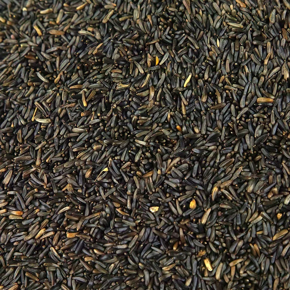 SQUAWK Graines de Niger pour Oiseaux Sauvages Haute énergie 500g