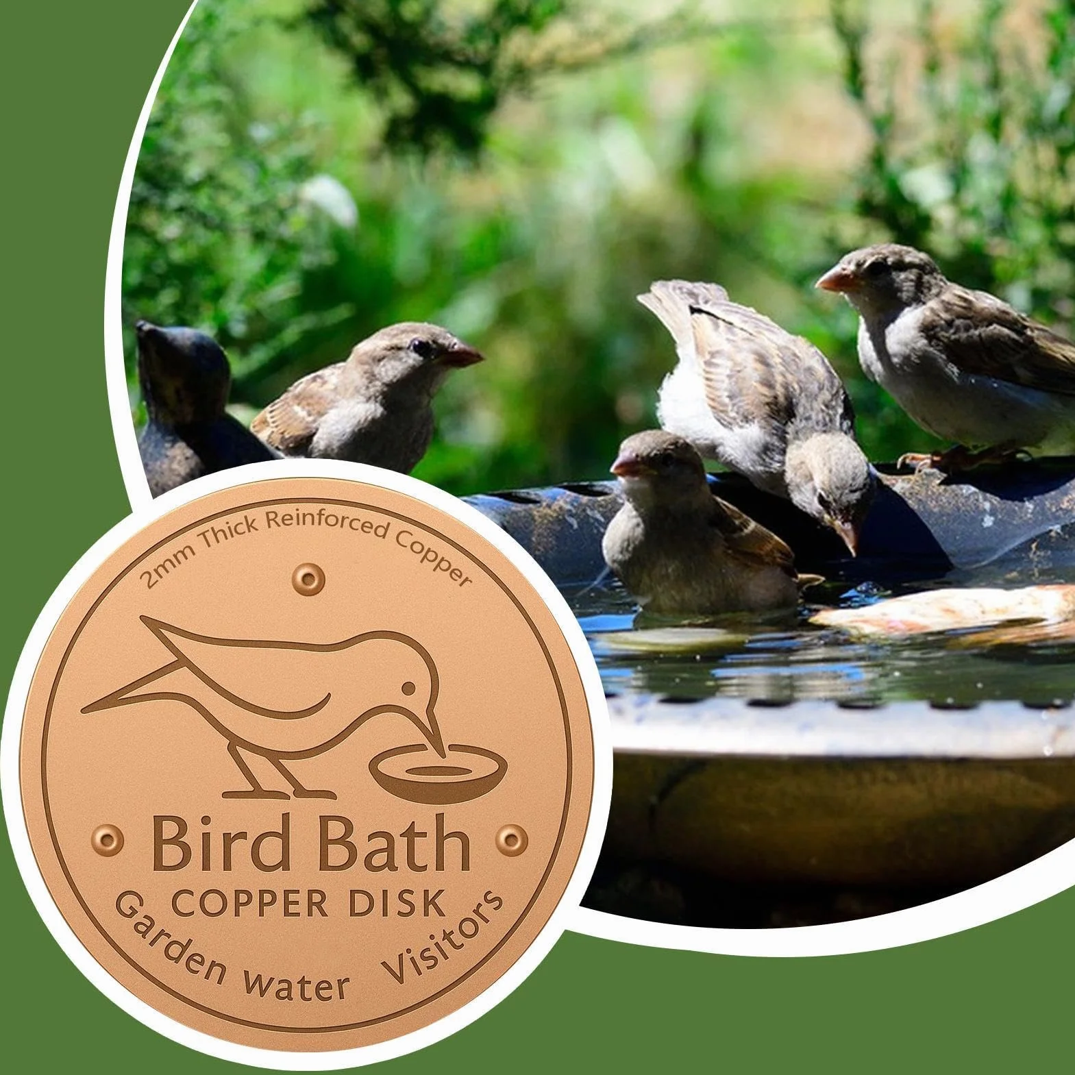 Plaques en Cuivre pour Bain d'oiseaux 10cm Disque De Nettoyage Support À Trois Points