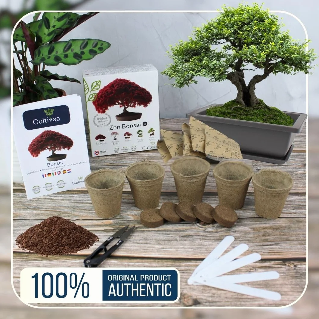 CULTIVEA® Mini Kit Prêt à Pousser 6 Bonsaï - Marque Française