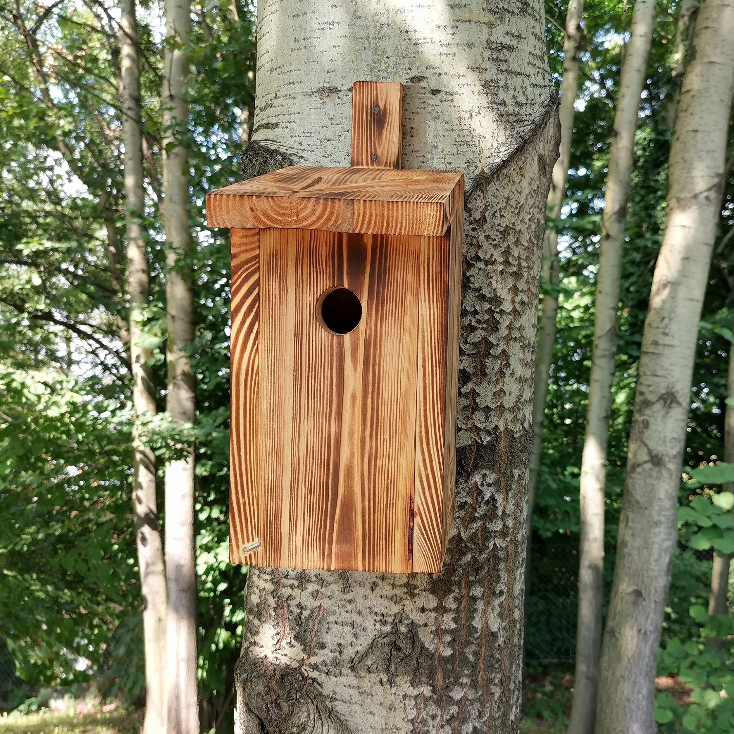 Nichoir pour Grandes Mésanges, Bois Solide, Prêt à l'emploi