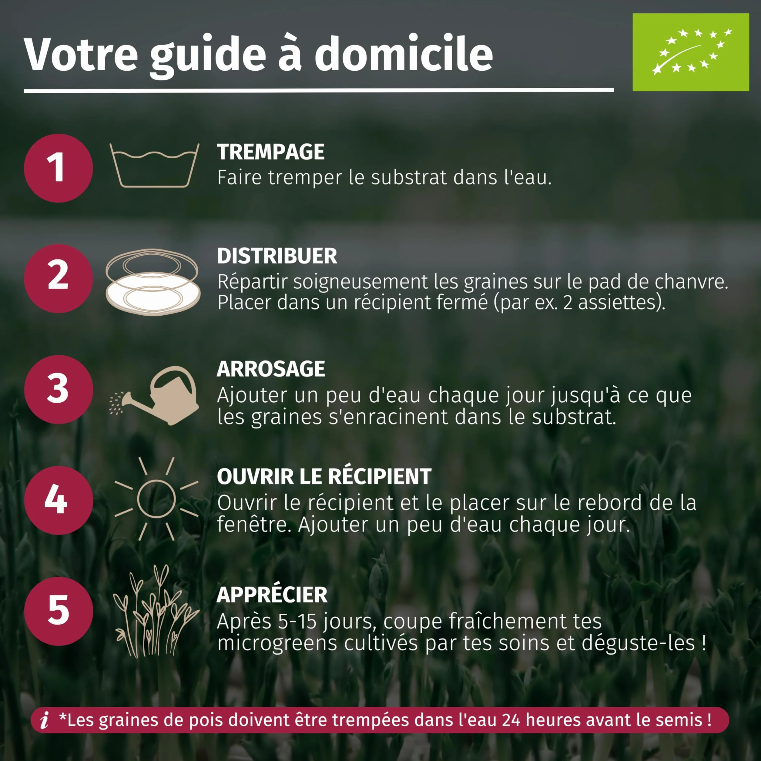 LERAVA® Kit de Microgreens BIO - Graines à Germer avec 6 Tapis de Chanvre