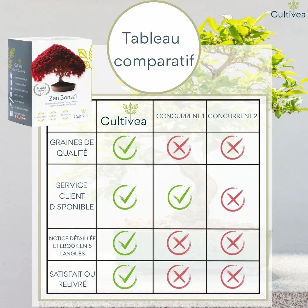 CULTIVEA® Mini Kit Prêt à Pousser 6 Bonsaï - Marque Française