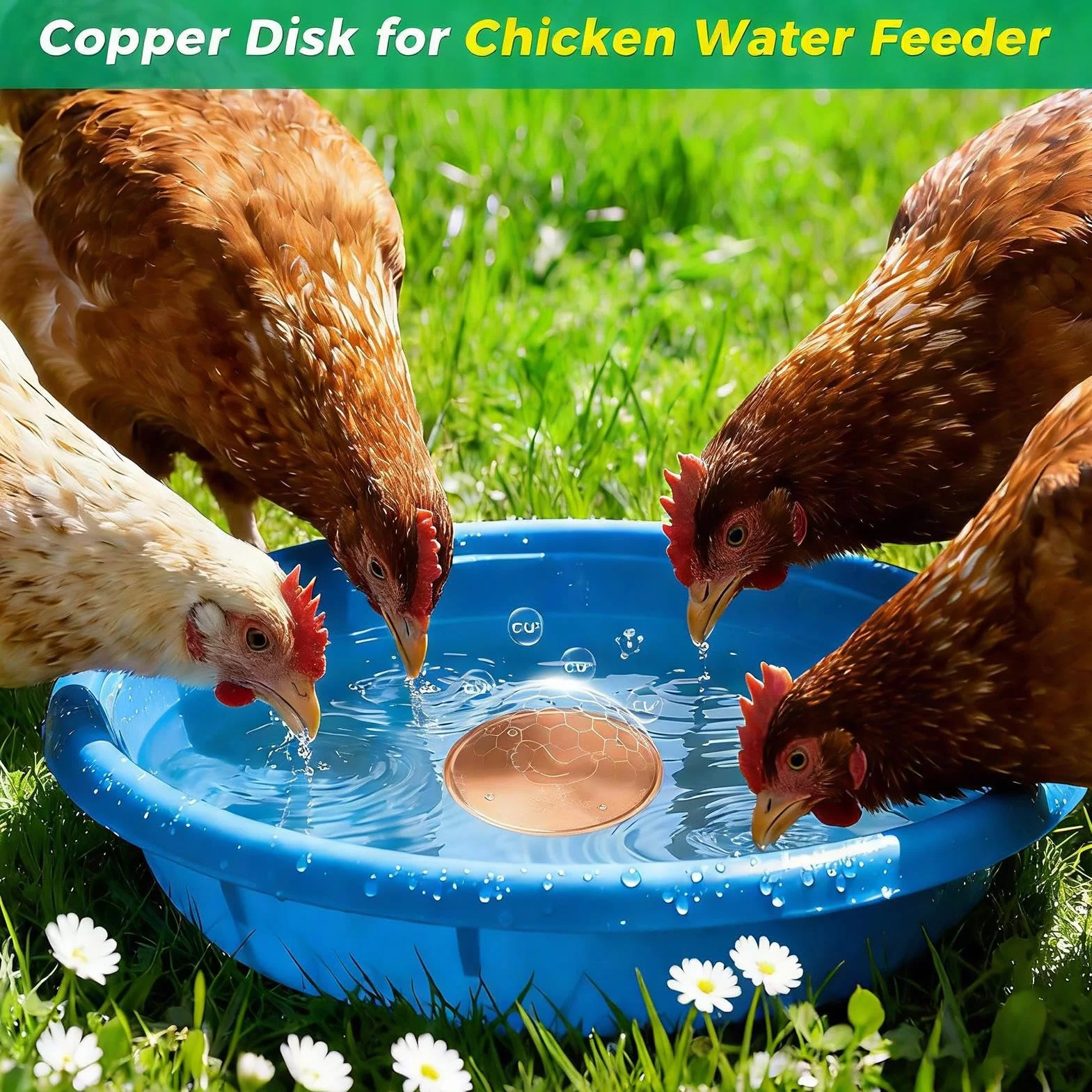Disque de Bain d'oiseaux en Cuivre 10 cm Purification d'eau pour Bassin Extérieur Jardin