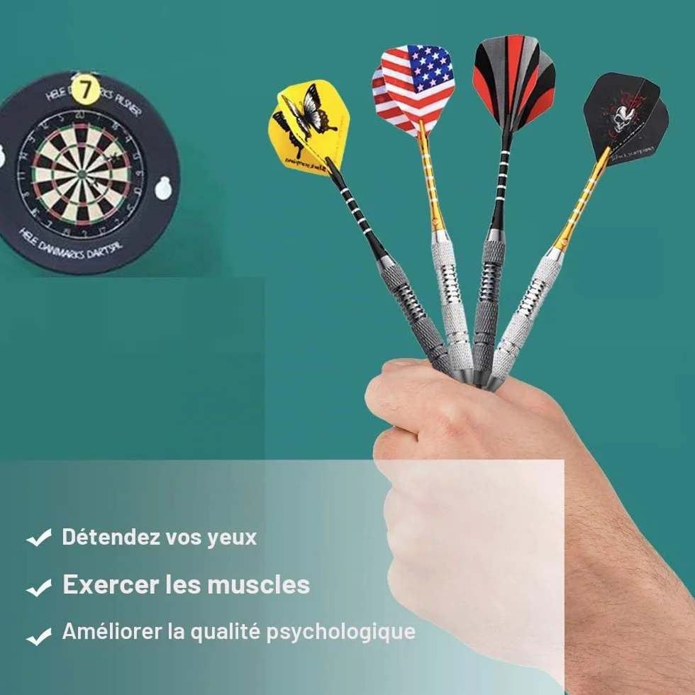 Lot de 12 Fléchettes Pointe Acier, Jeu de Fléchettes Professionnelles de 24g avec 20 ailettes (4 Styles) + 12 tiges en Aluminium, Accessoires pour Flechettes Professionnel