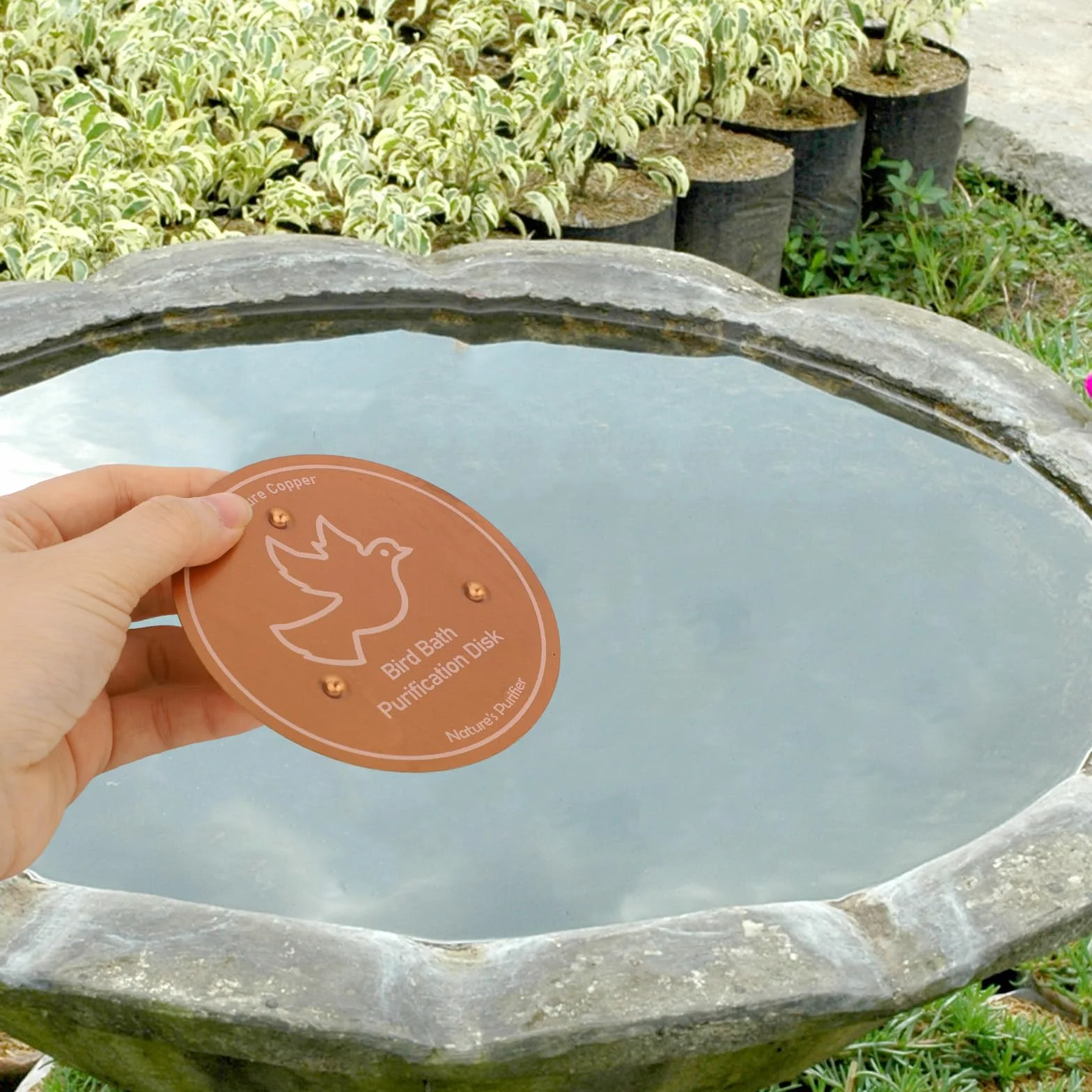 Penitue Disque Cuivre 10cm Support Triple Point Robuste Purification Bain d'oiseaux