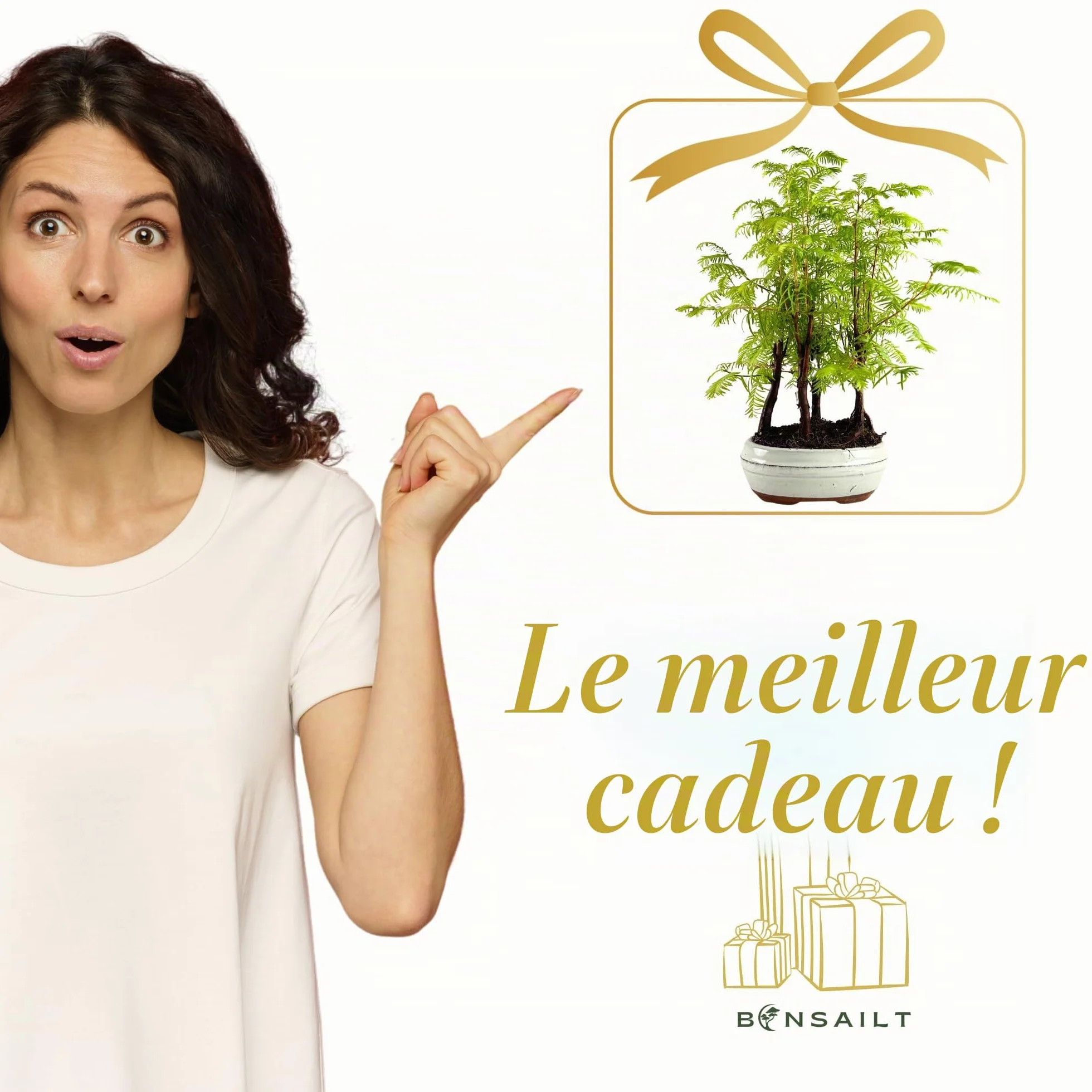 Bonsaï Metasequoia Arbre avec pot en céramique Forêt Plein Air (P16)