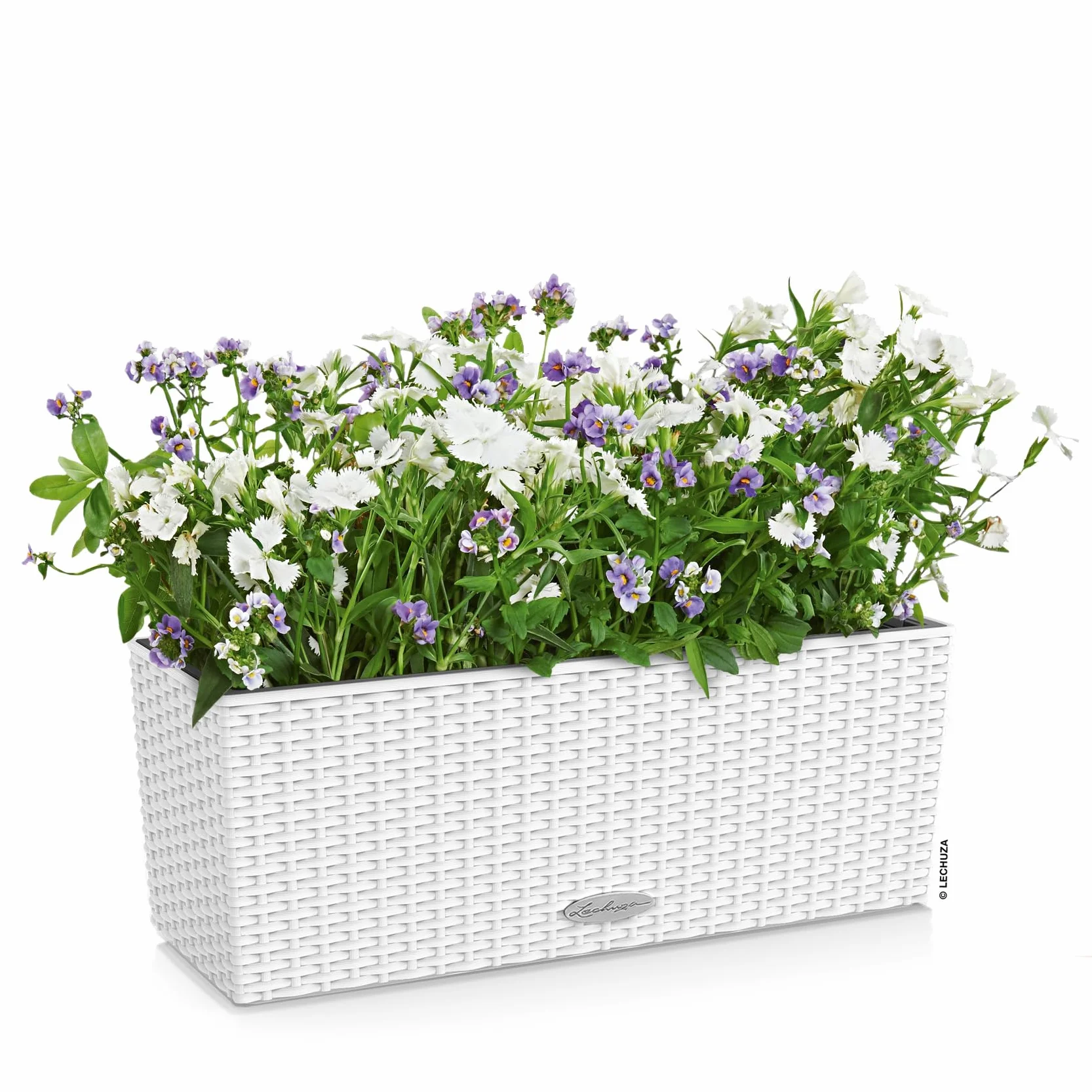 Lechuza Balconera Pot de Fleurs Extérieur Intérieur Réserve d'Eau Blanc 50 x 19 x 19 cm