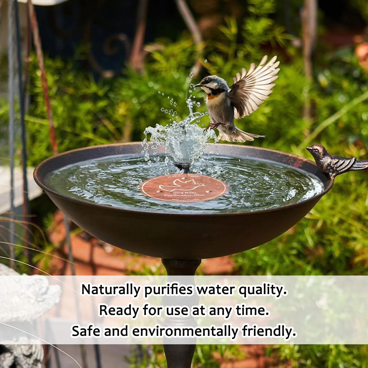 Disque de Purification pour Bain d'oiseaux en Cuivre Pur 99,99% 4 Pouces avec Support à Trois Points