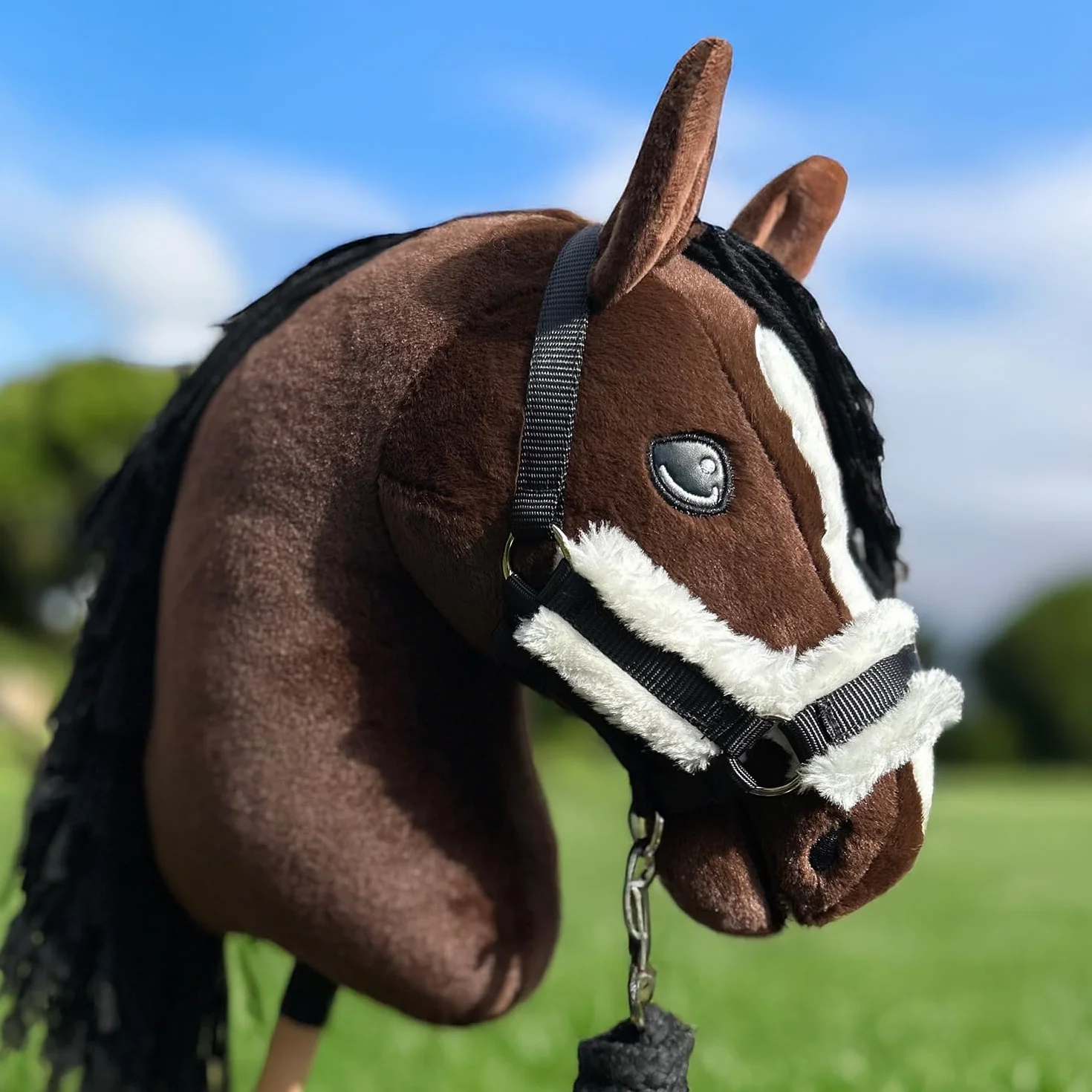 Hobby Horse Ensemble d'accessoires Licol moumoute avec Longe et Bonnet Anti-Insectes - Taille A4 et A3 (Noir)