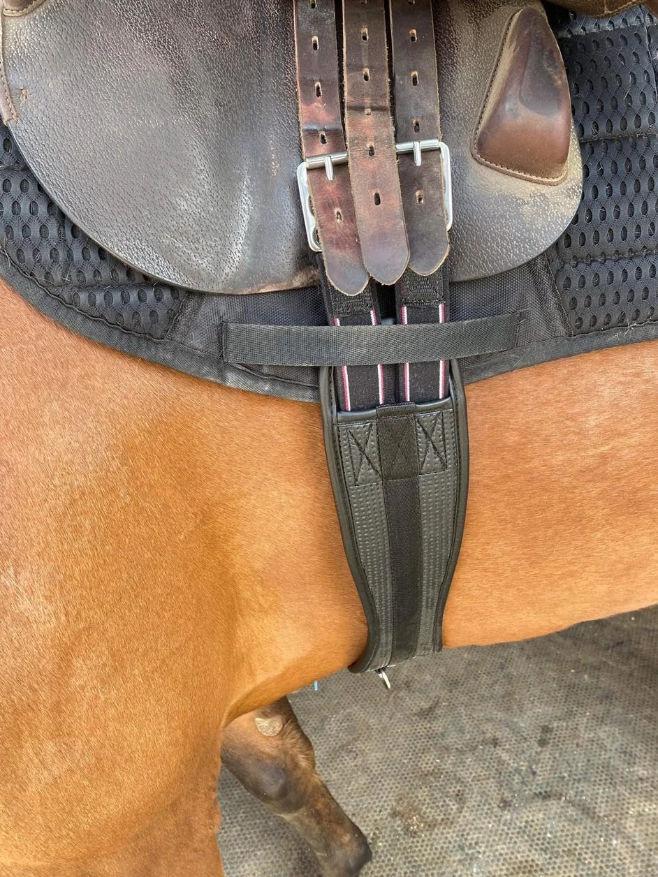 Preto Sangle synthétique pour selle de cheval confortable en néoprène gaufré - Sangle équine anti-frottement - Extrémité élastique - Contour noir anatomique/ergonomique - Sangle de saut en PVC (130
