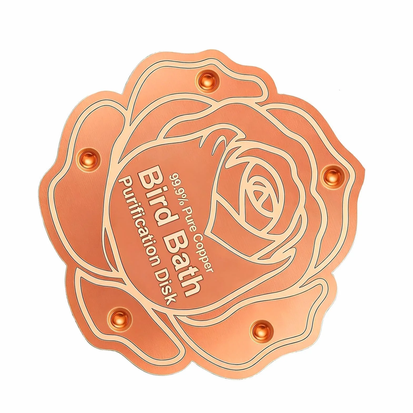 Disque de Purification en cuivre Design autonettoyant pour Garder l'eau fraîche Purification Toutes Saisons