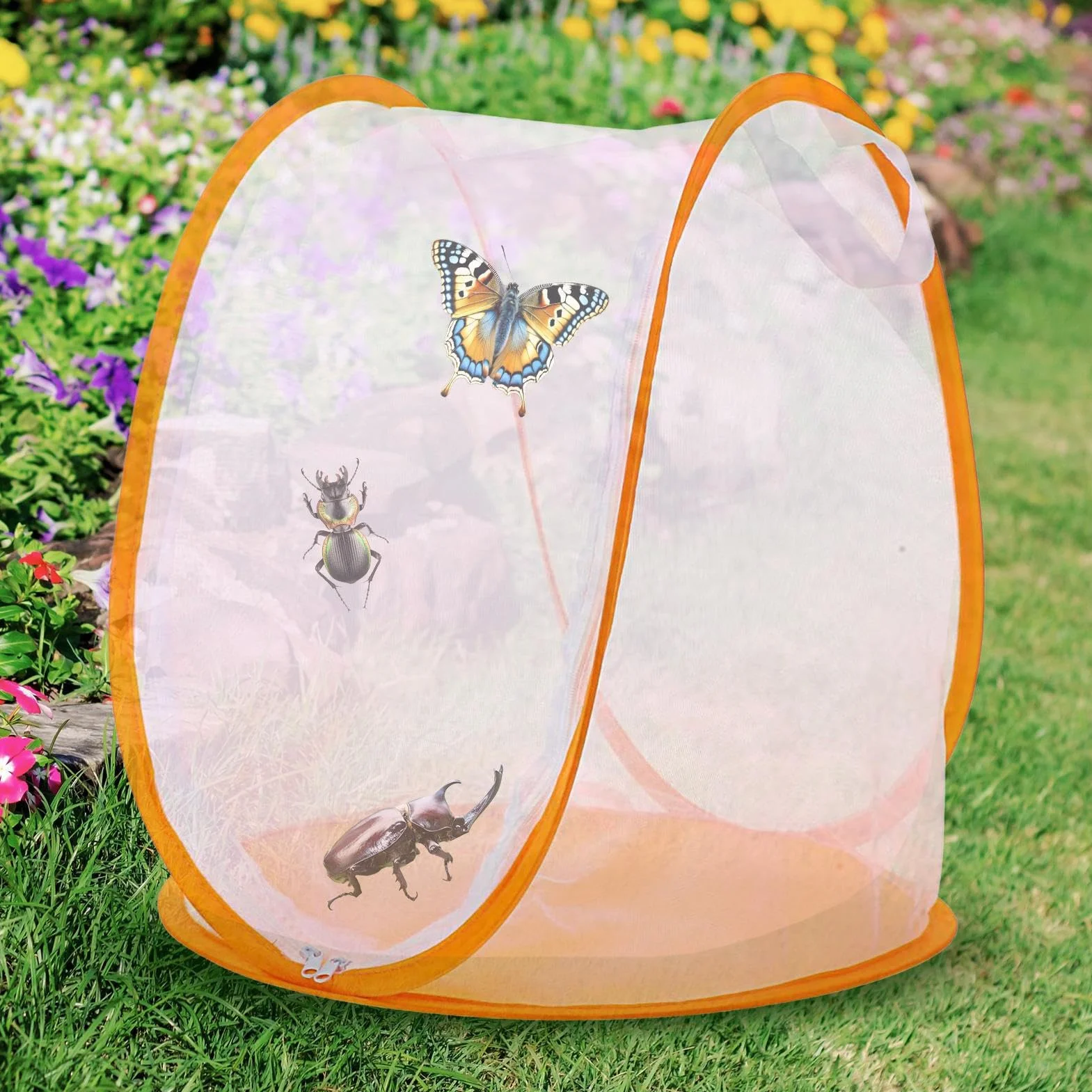 Volière à Papillons Petit Filet d'Élevage Habitat Maison Pliale pour Capture Mangeoire Animaux Jardin Extérieur