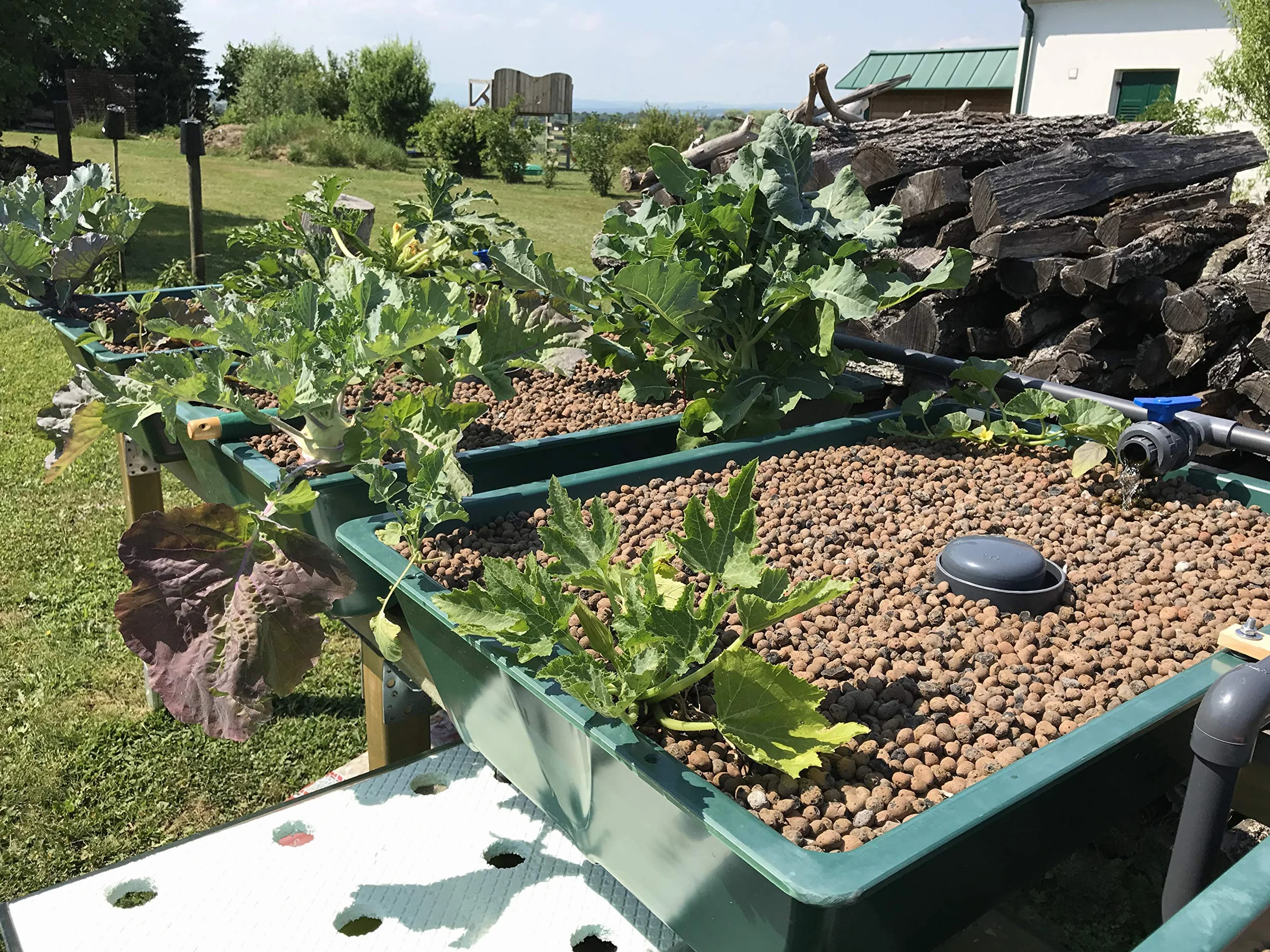 OFERA Cycle-Garden Aquaponics Growbed Basic