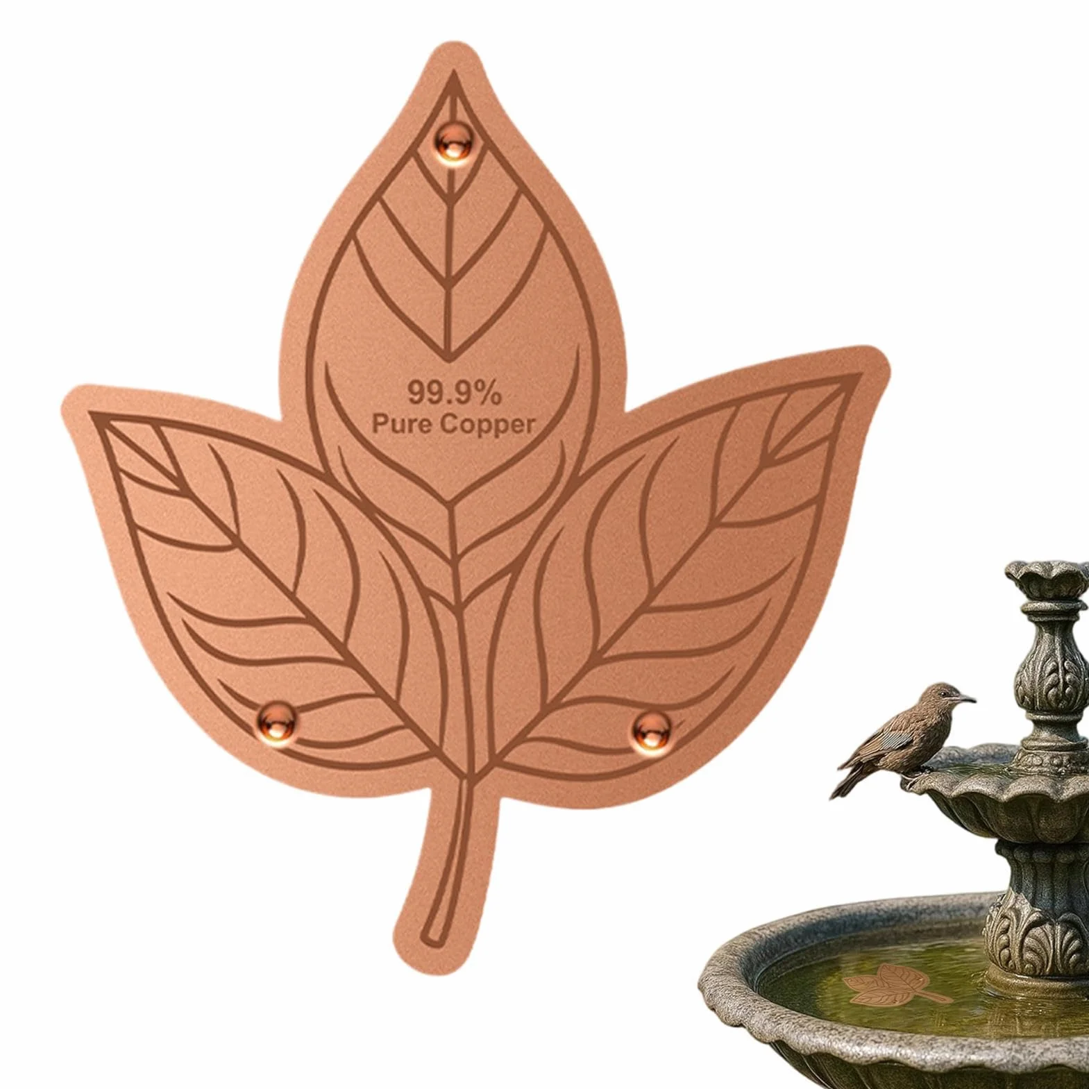 Générique De Bain pour Oiseaux À Disque en Cuivre – Nettoyeur d'eau À Triple Point, Purification Extérieur Naturel, Anti-algues en Cuivre Durable