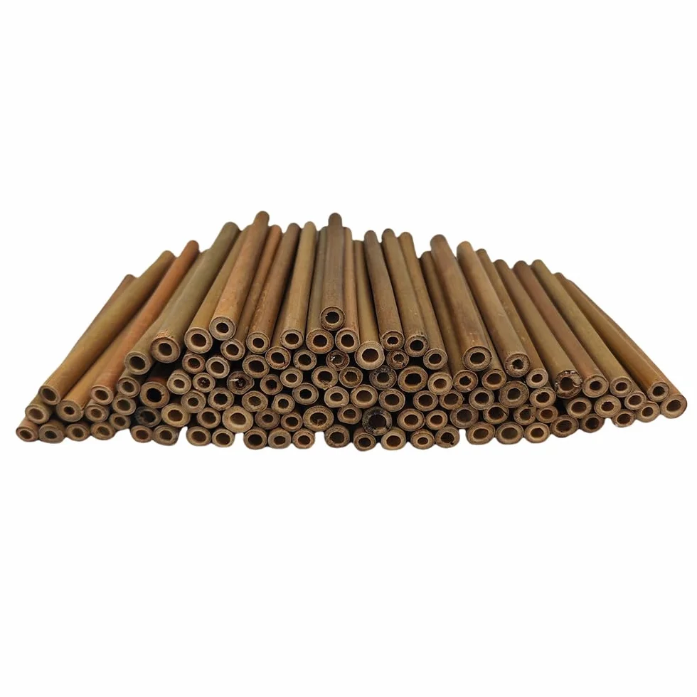 Matériau de Remplissage de Tubes d'hôtel à Insectes 100 pièces Tube en Bambou Naturel 15cm Accessoires Maison d'abeille écologique Jardin